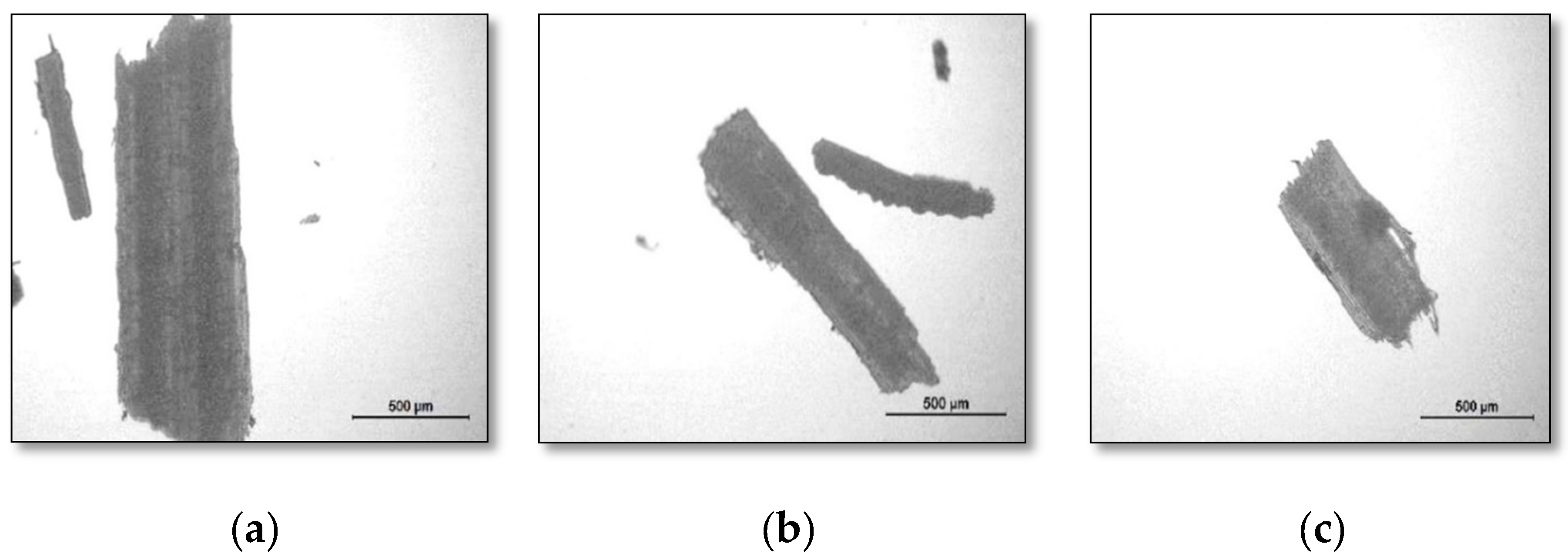 Polymers 12 03030 g003 Polymers 12 03030 g003