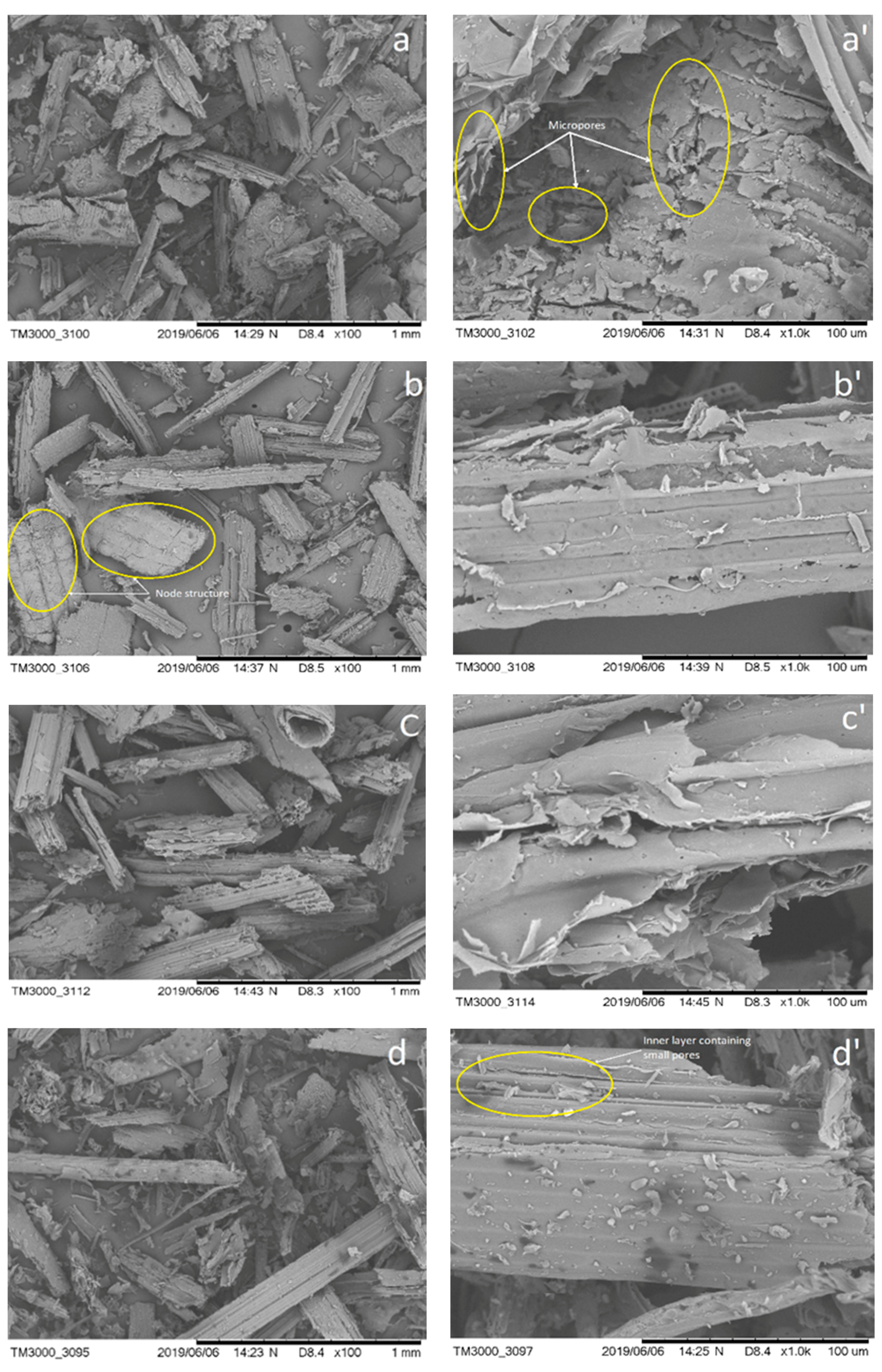 Polymers 12 03030 g004 Polymers 12 03030 g004
