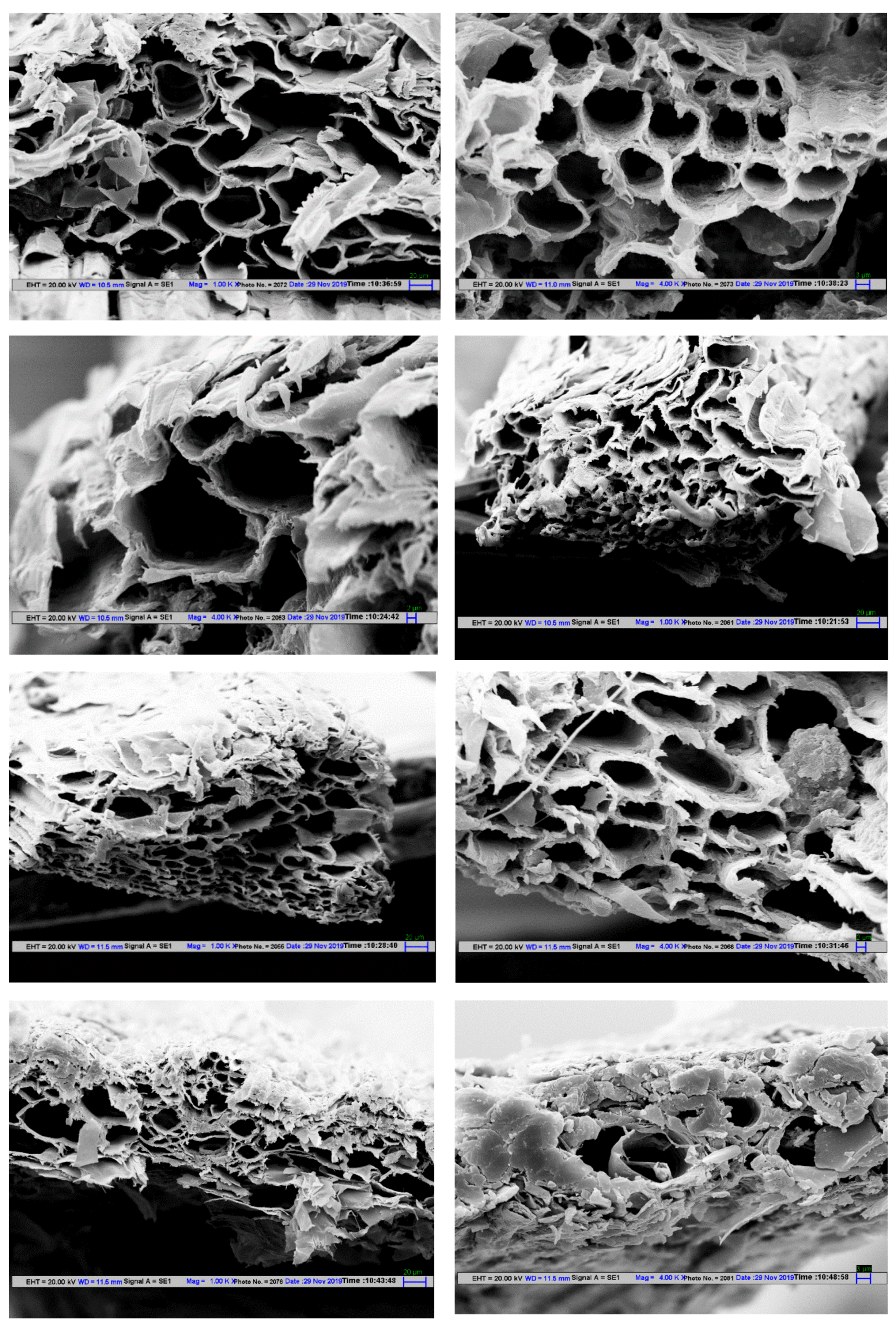 Polymers 12 03030 g005 Polymers 12 03030 g005