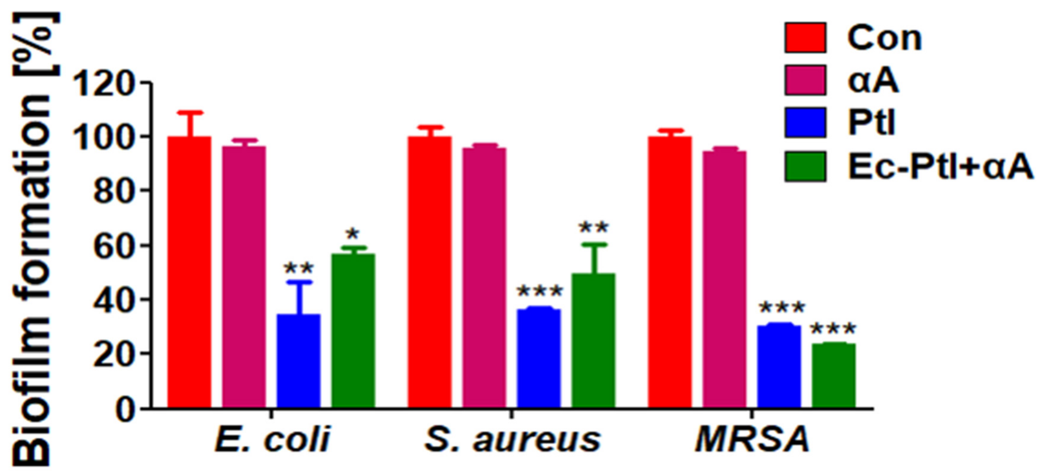Polymers 12 03032 g002