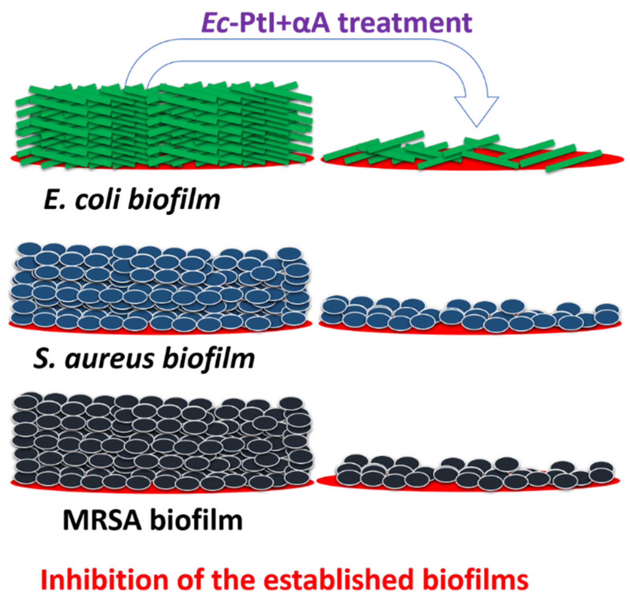 Polymers 12 03032 g004