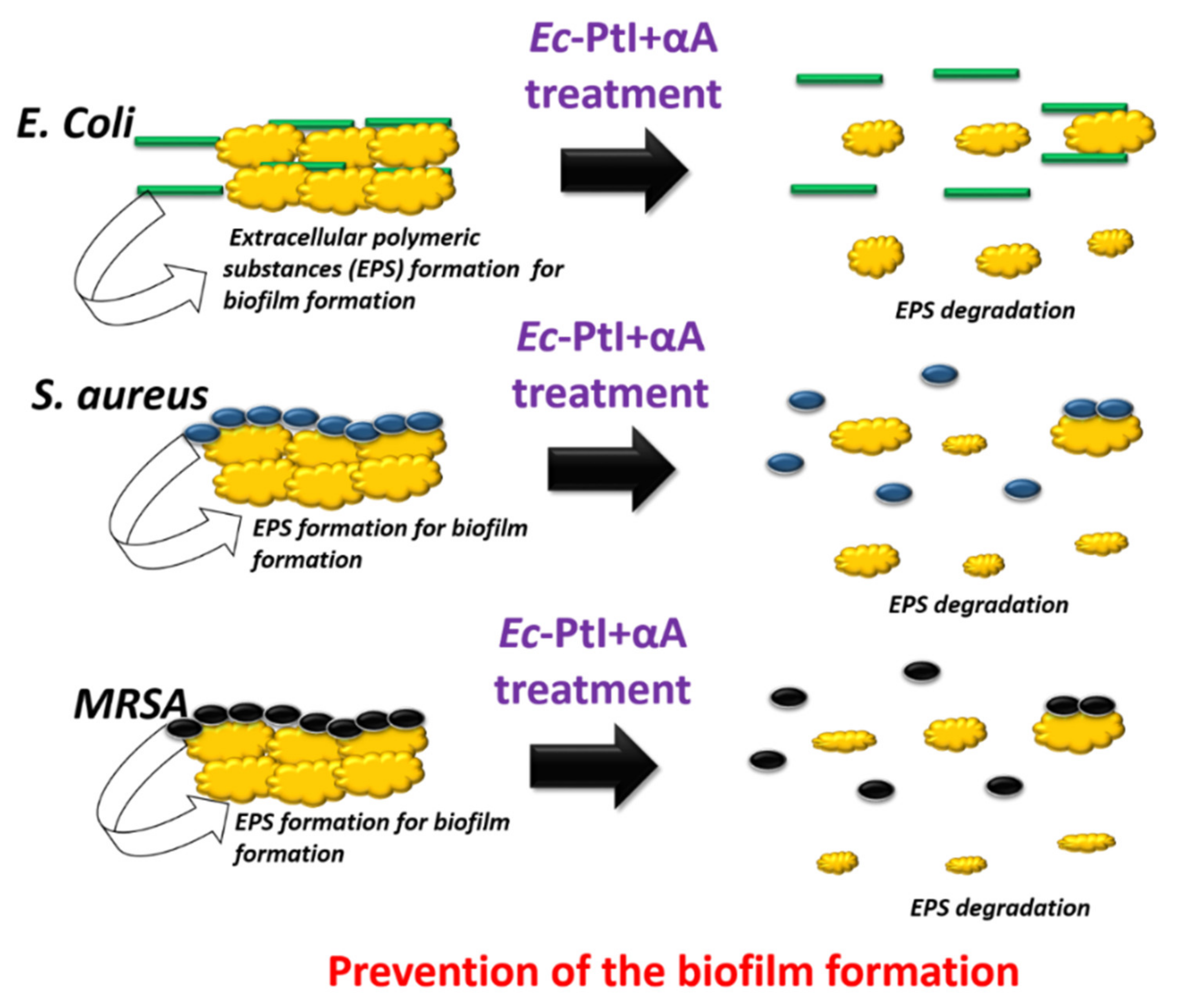 Polymers 12 03032 g005