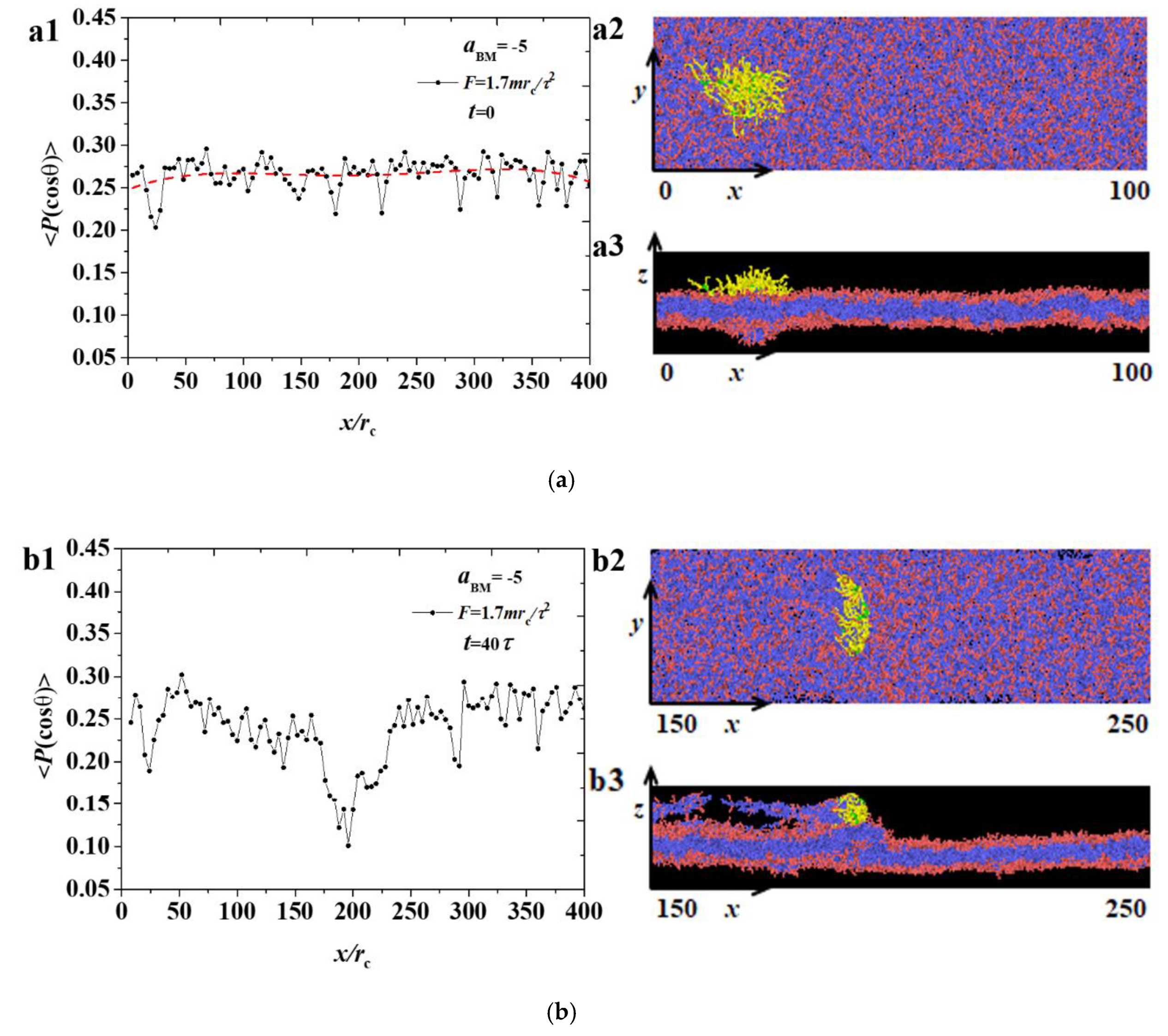 Polymers 12 03033 g004a Polymers 12 03033 g004a