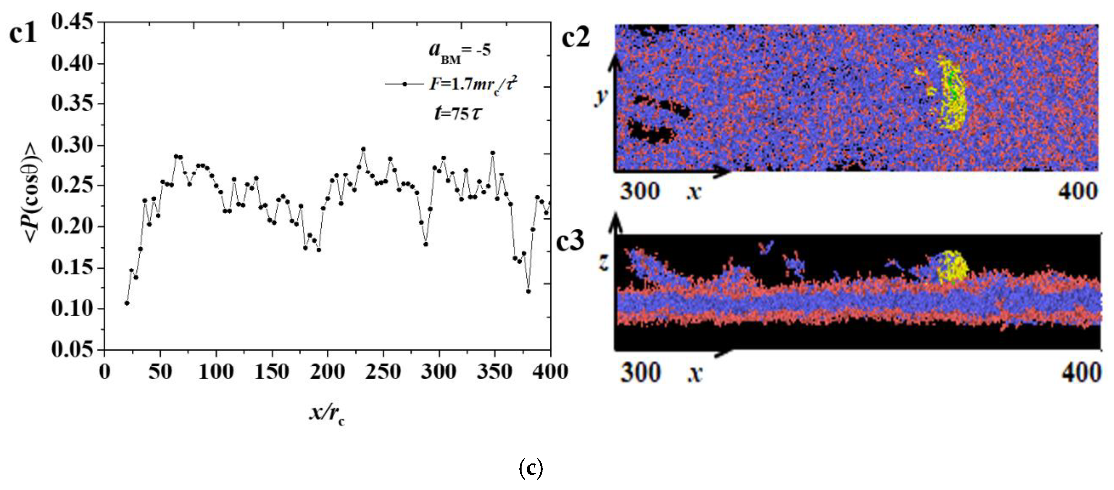 Polymers 12 03033 g004b Polymers 12 03033 g004b