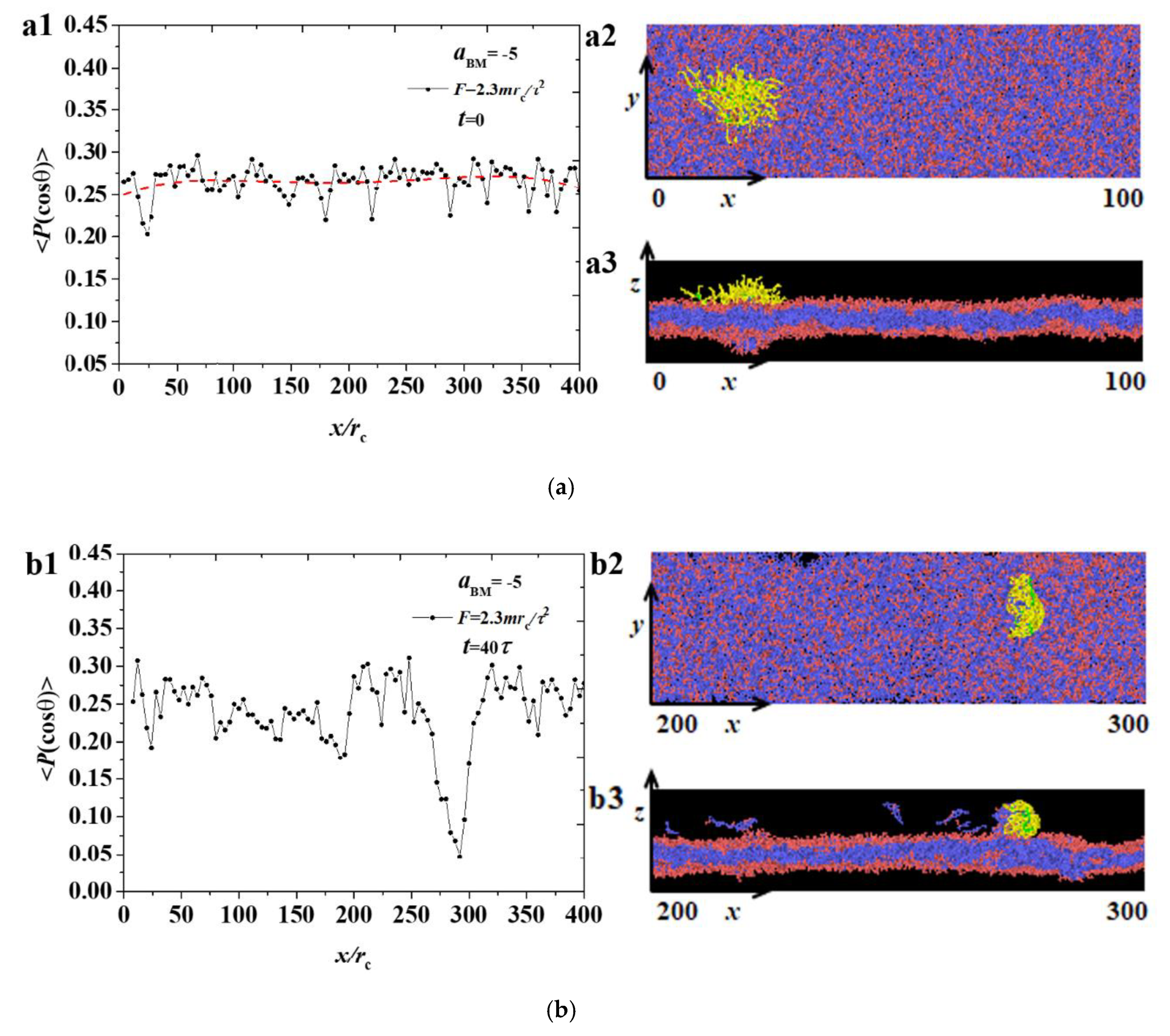 Polymers 12 03033 g005a Polymers 12 03033 g005a