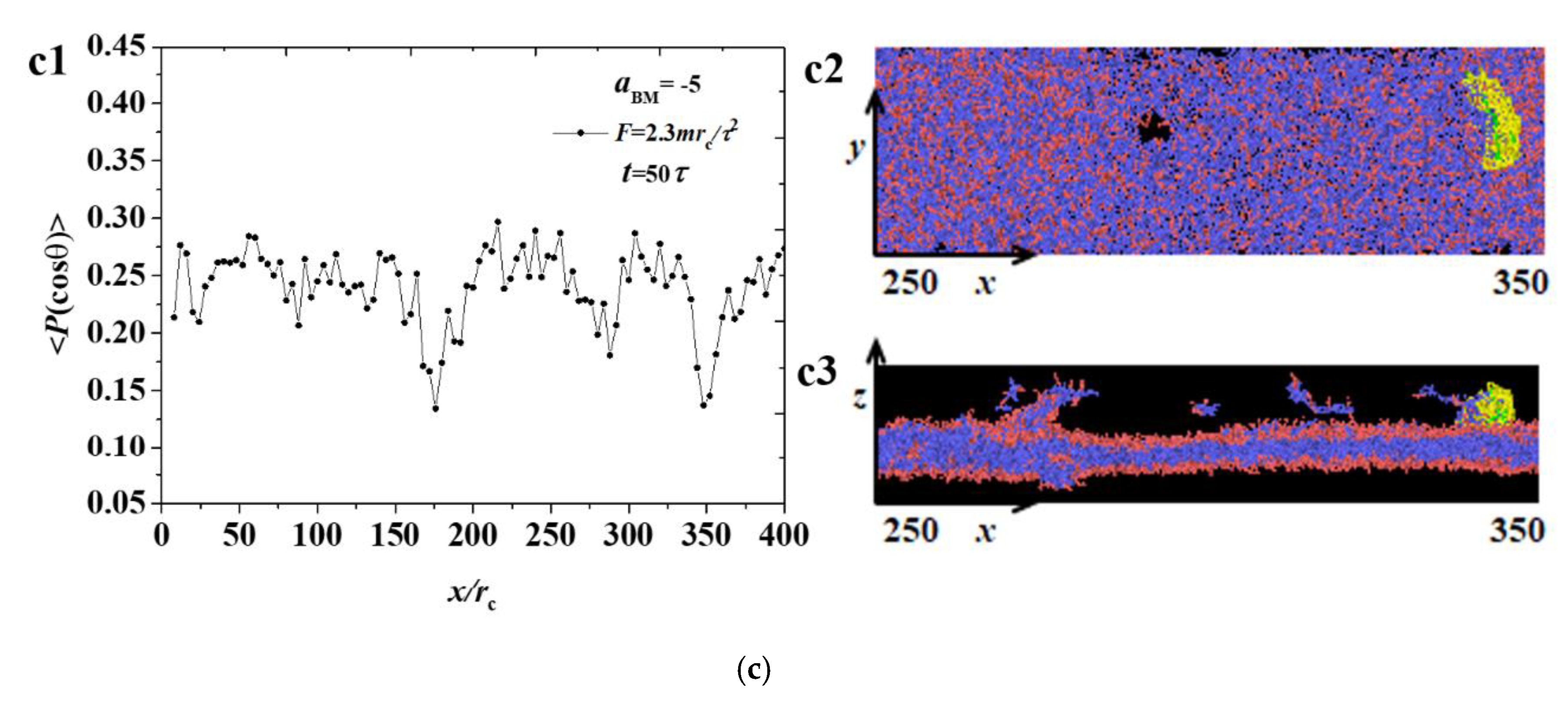 Polymers 12 03033 g005b Polymers 12 03033 g005b