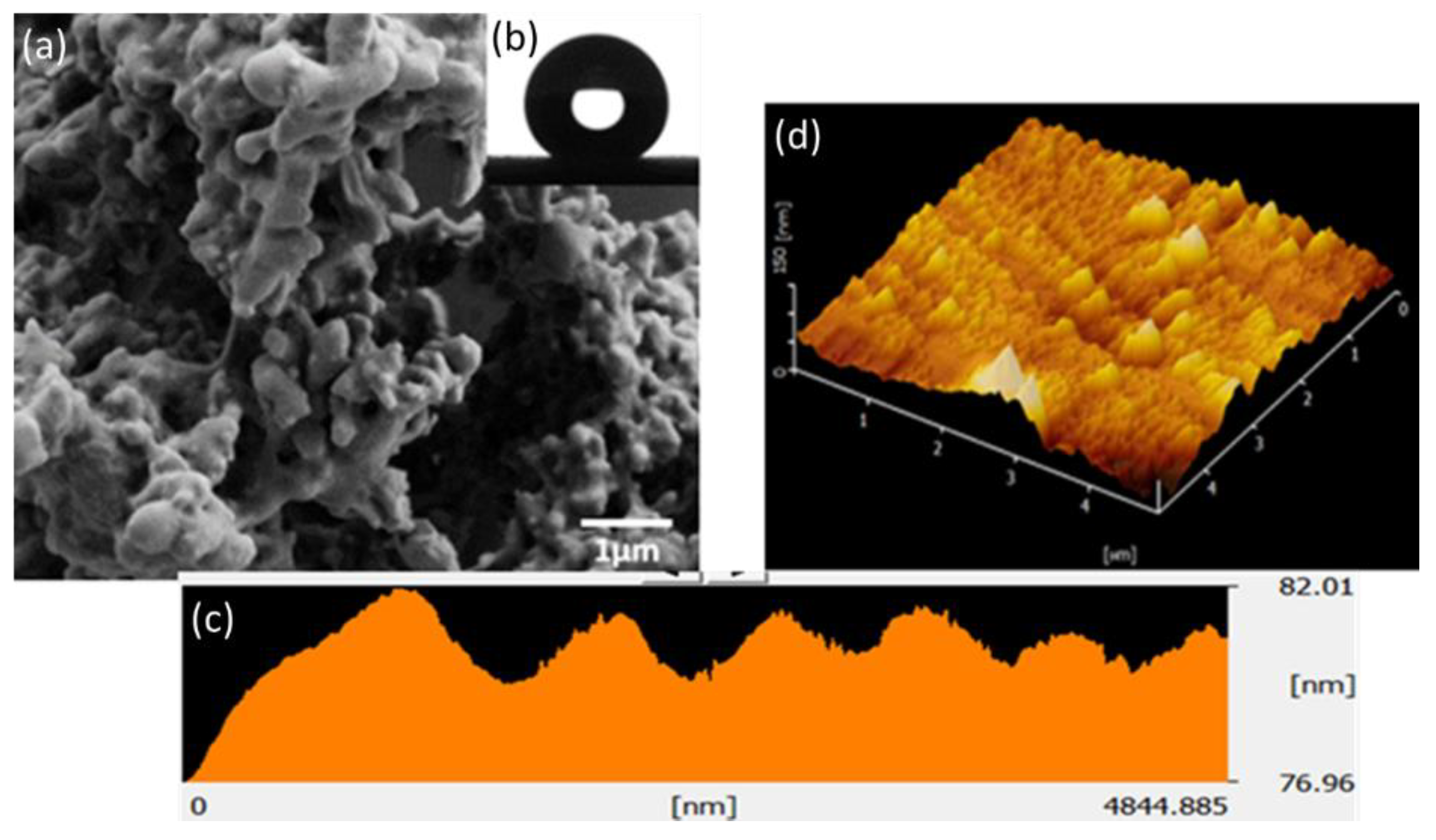 Polymers 12 03034 g001