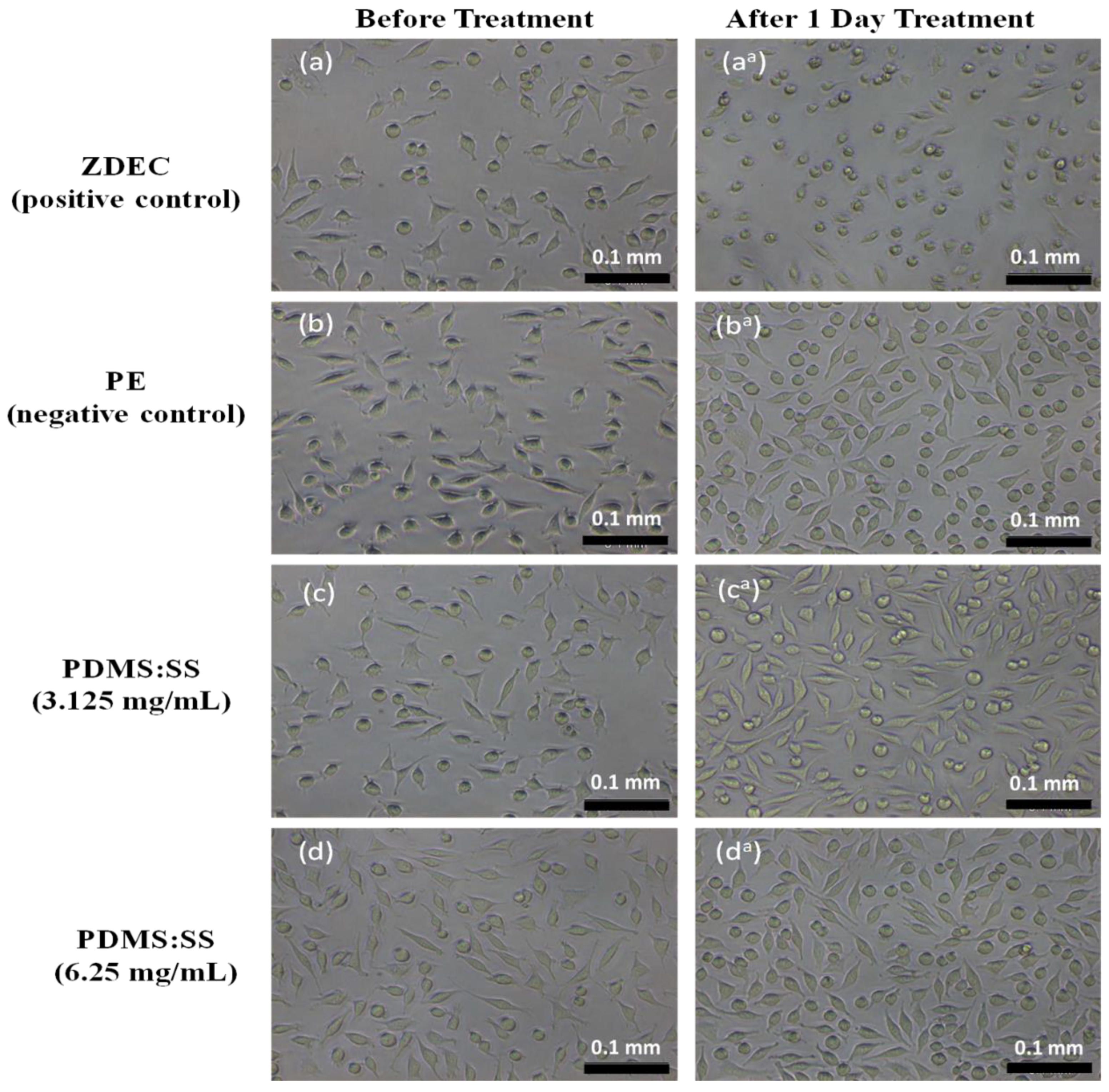 Polymers 12 03034 g003a
