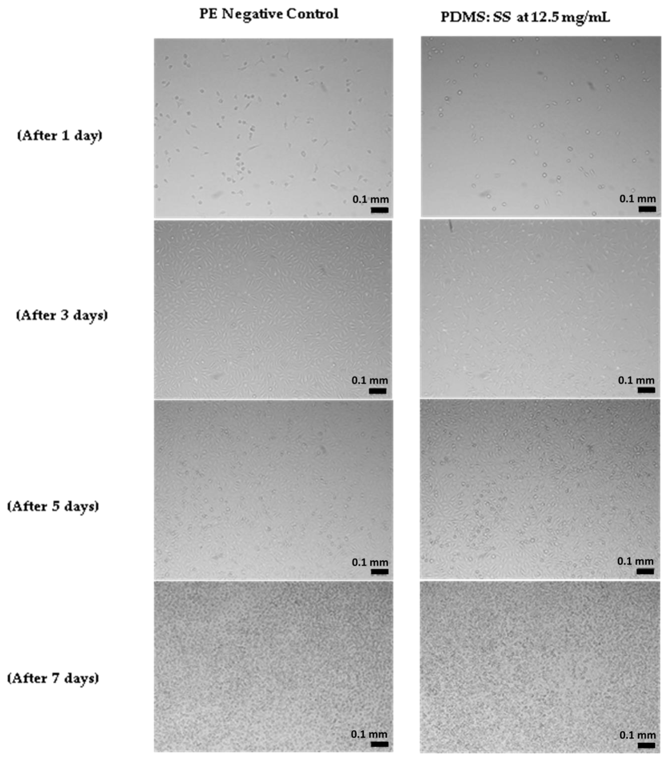 Polymers 12 03034 g006