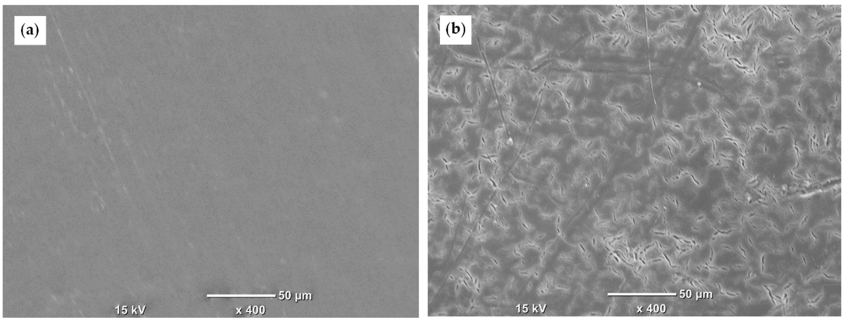 Polymers 12 03039 g003