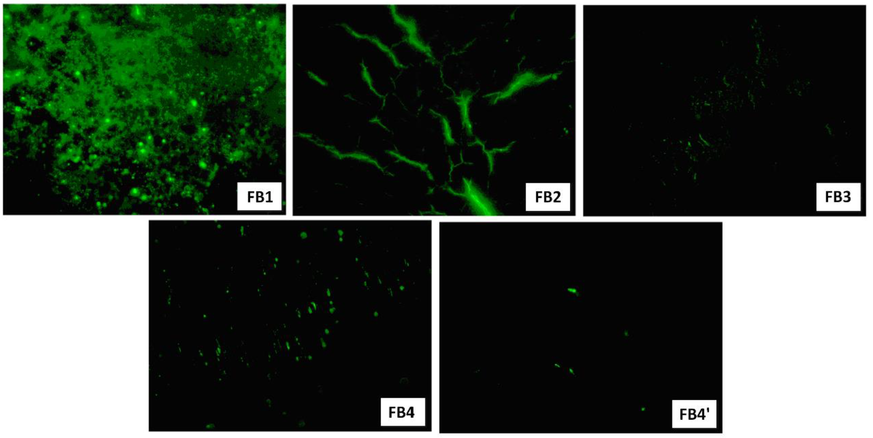 Polymers 12 03039 g006