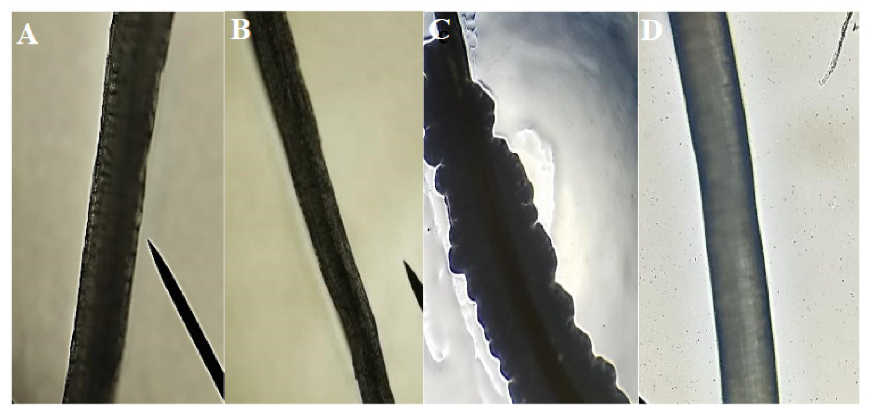Polymers 12 03042 g007 Polymers 12 03042 g007