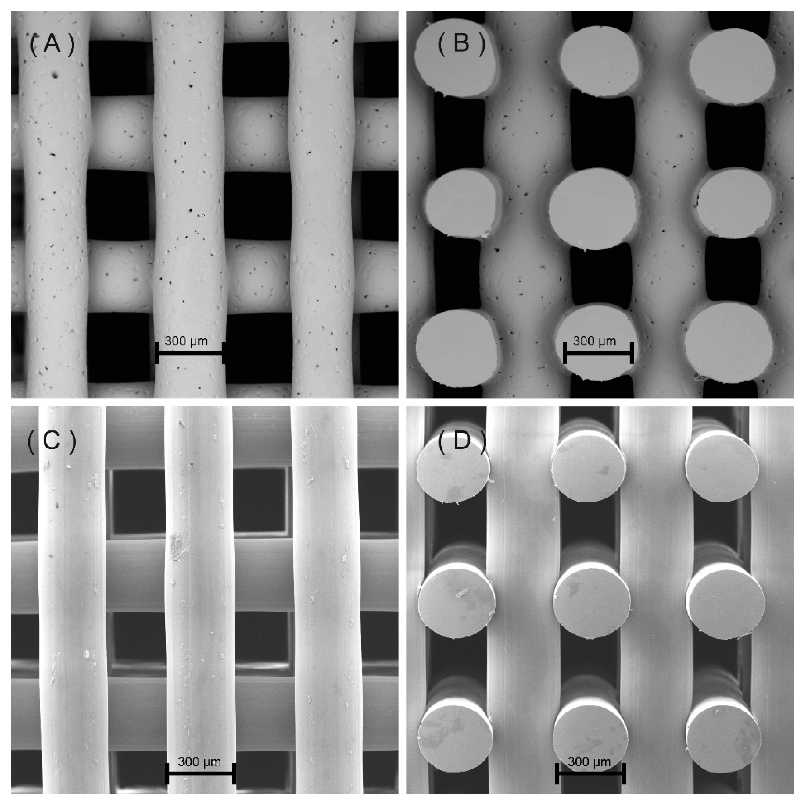 Polymers 12 03045 g002