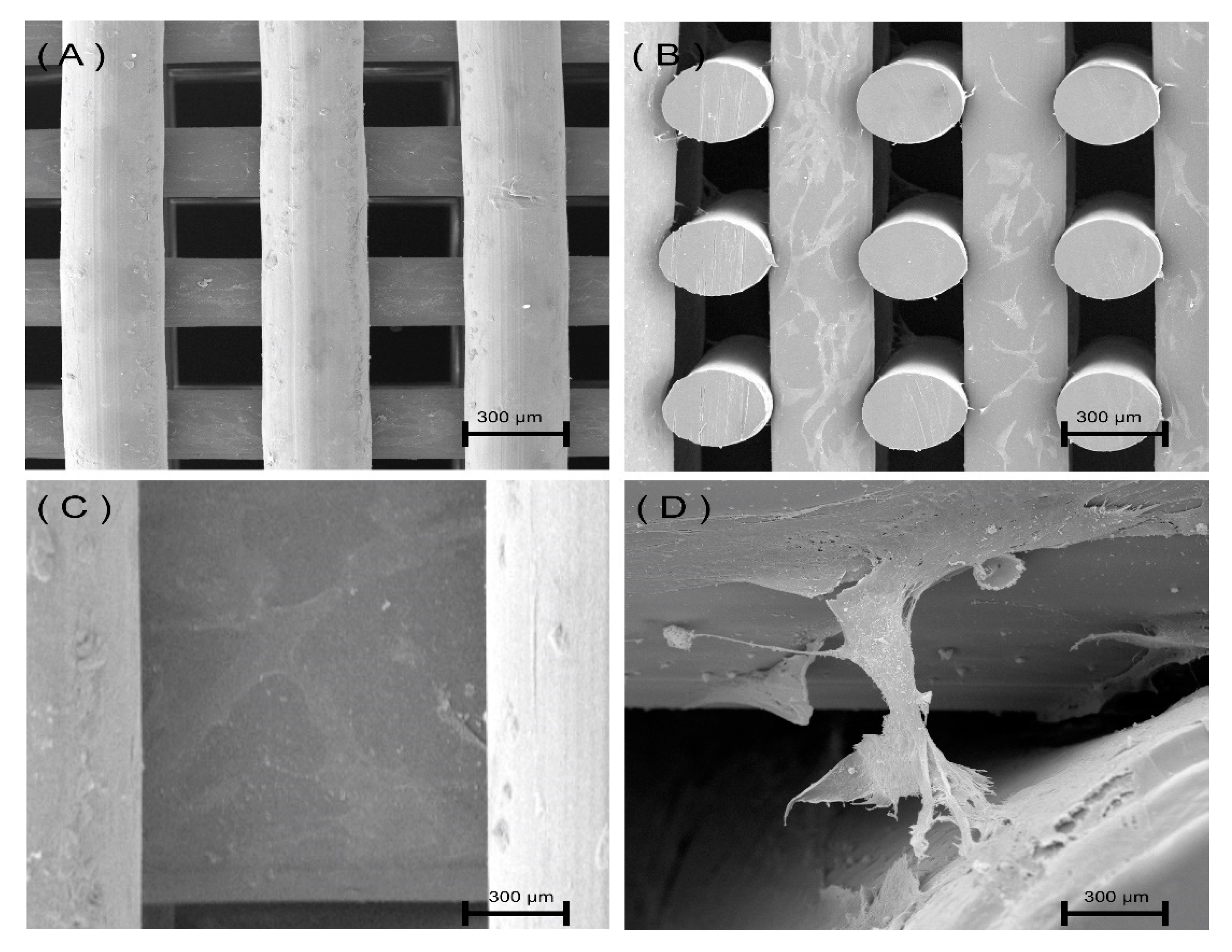 Polymers 12 03045 g007