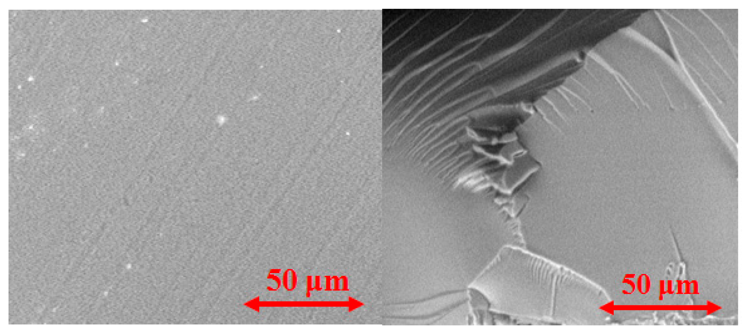 Polymers 12 03046 g004