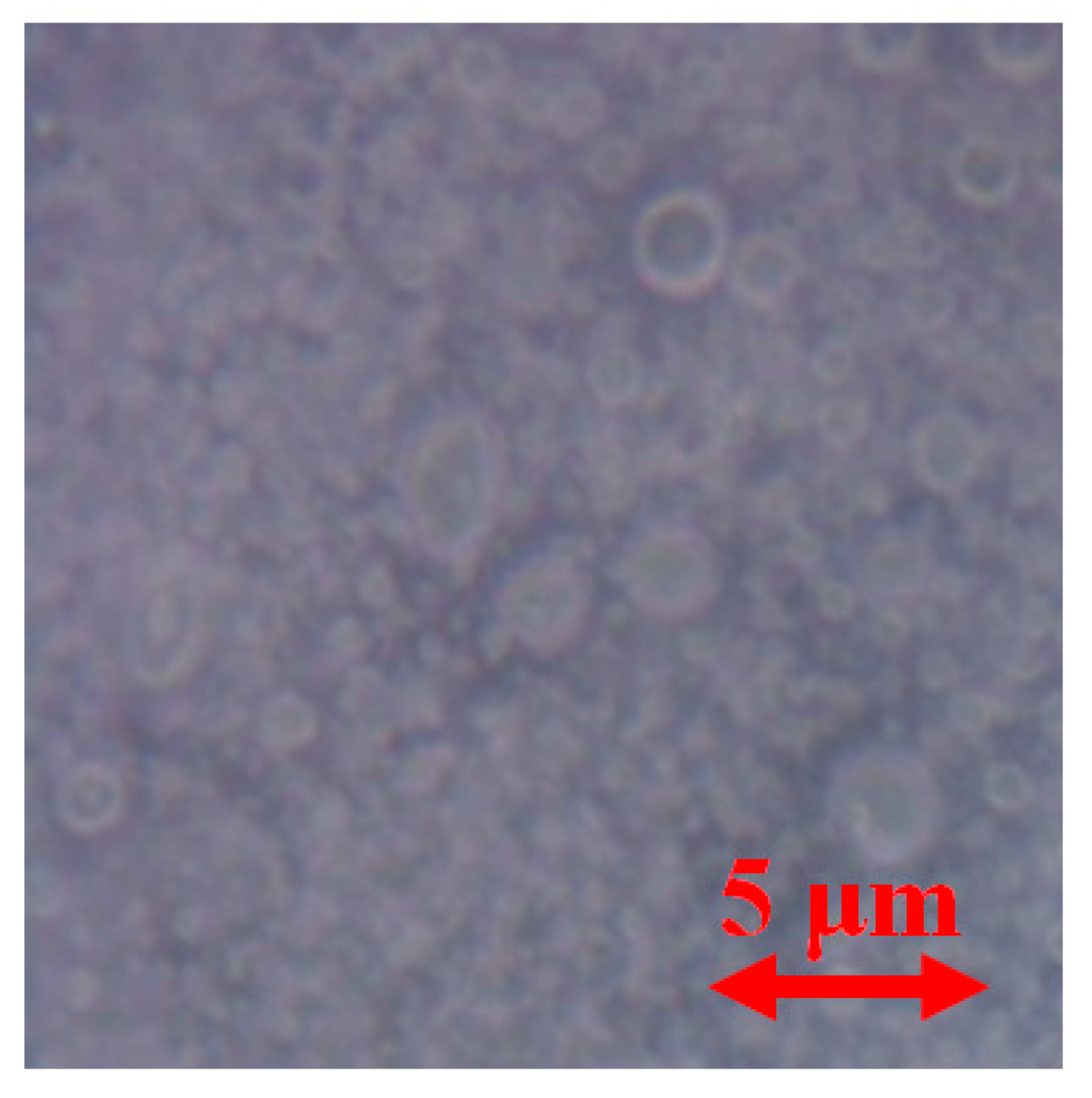 Polymers 12 03046 g010