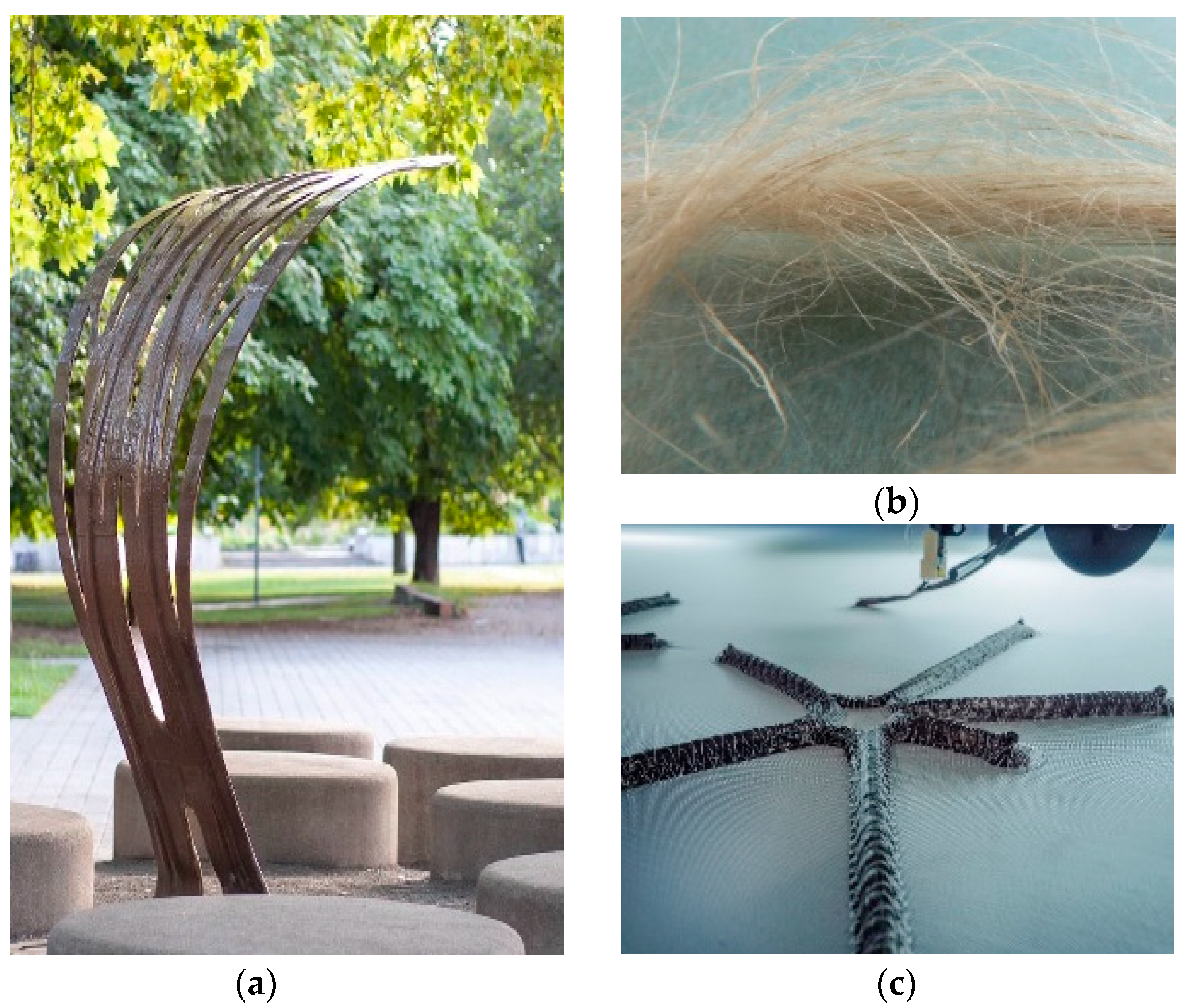 Polymers 12 03048 g002