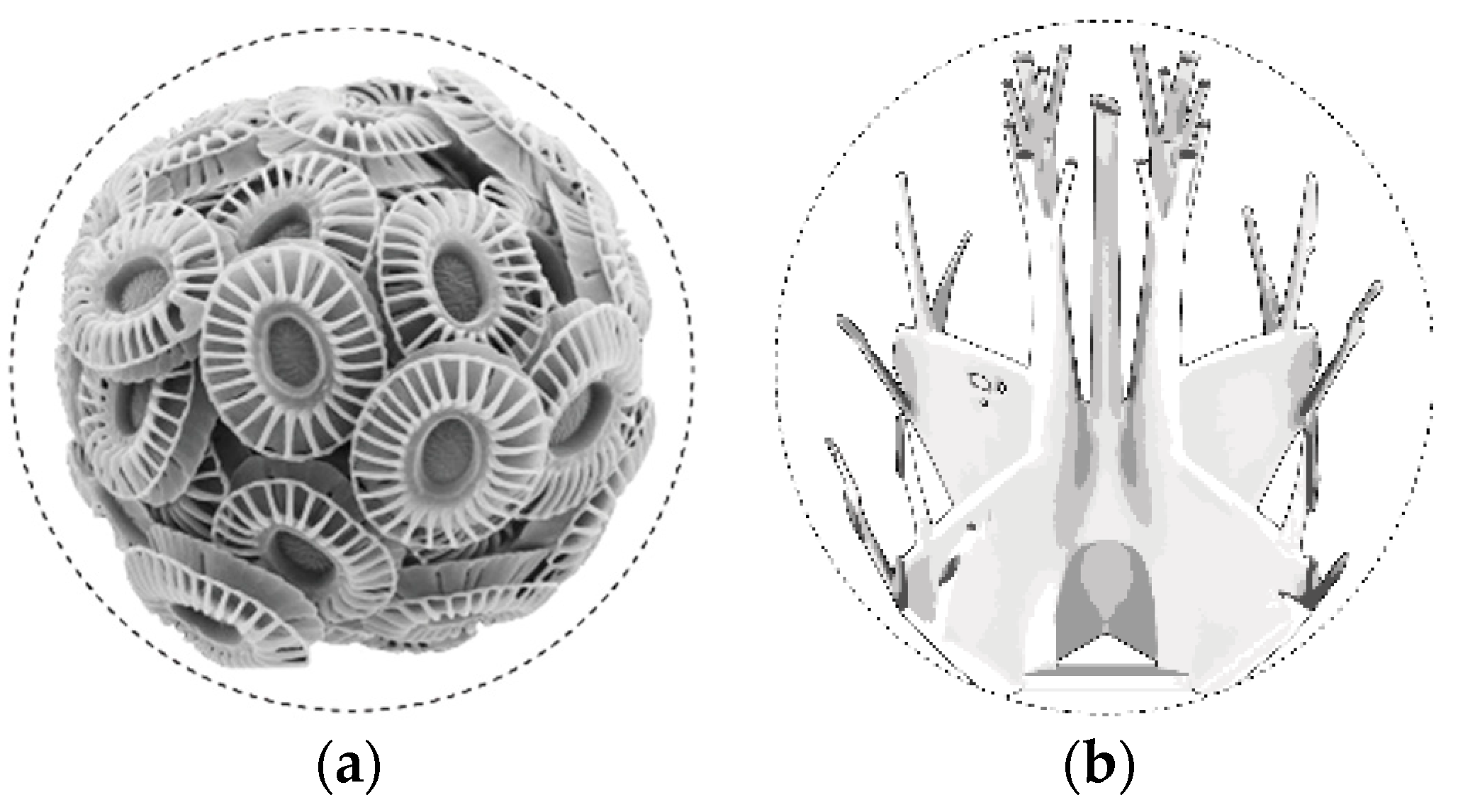 Polymers 12 03048 g004