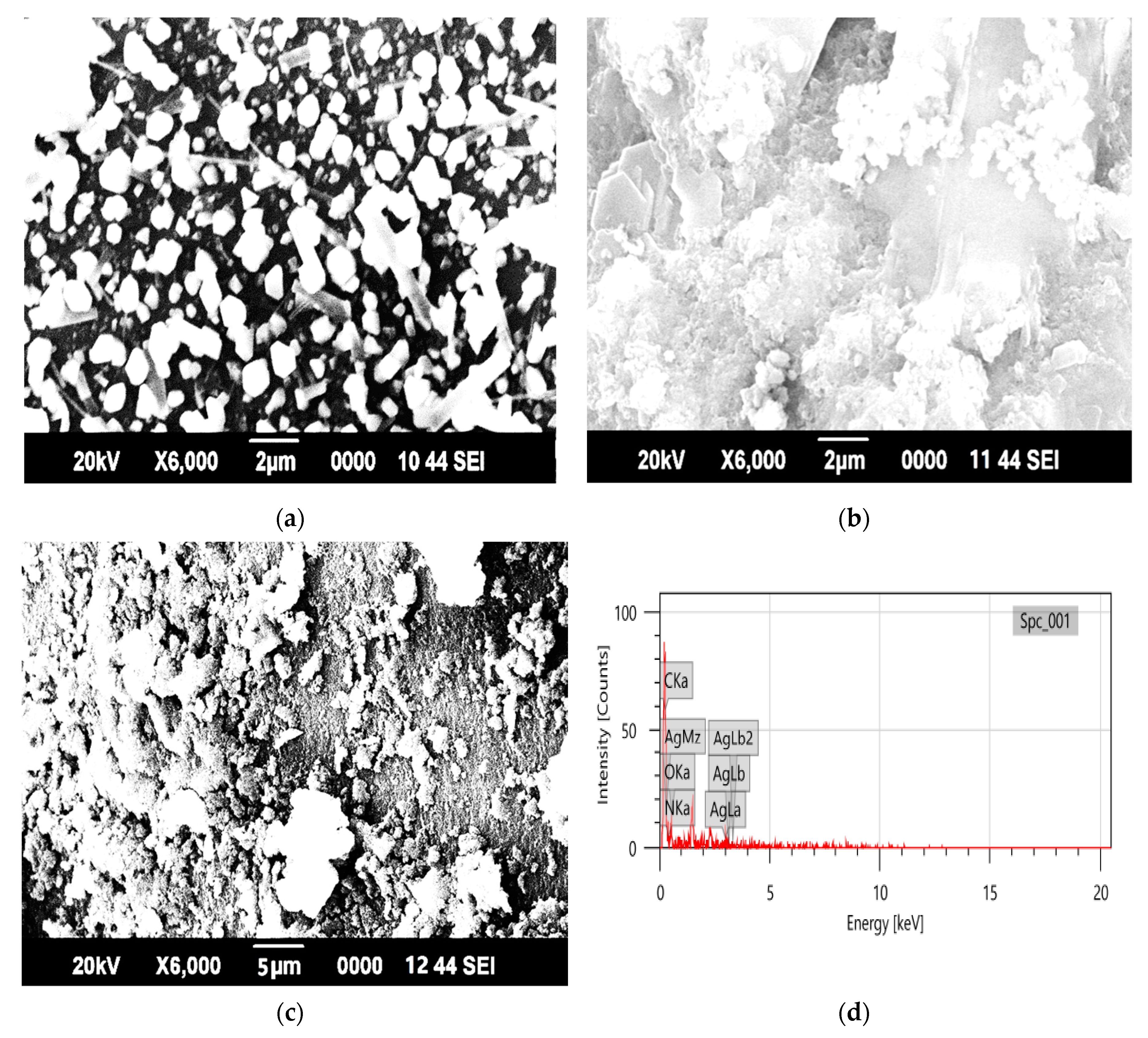 Polymers 12 03049 g003