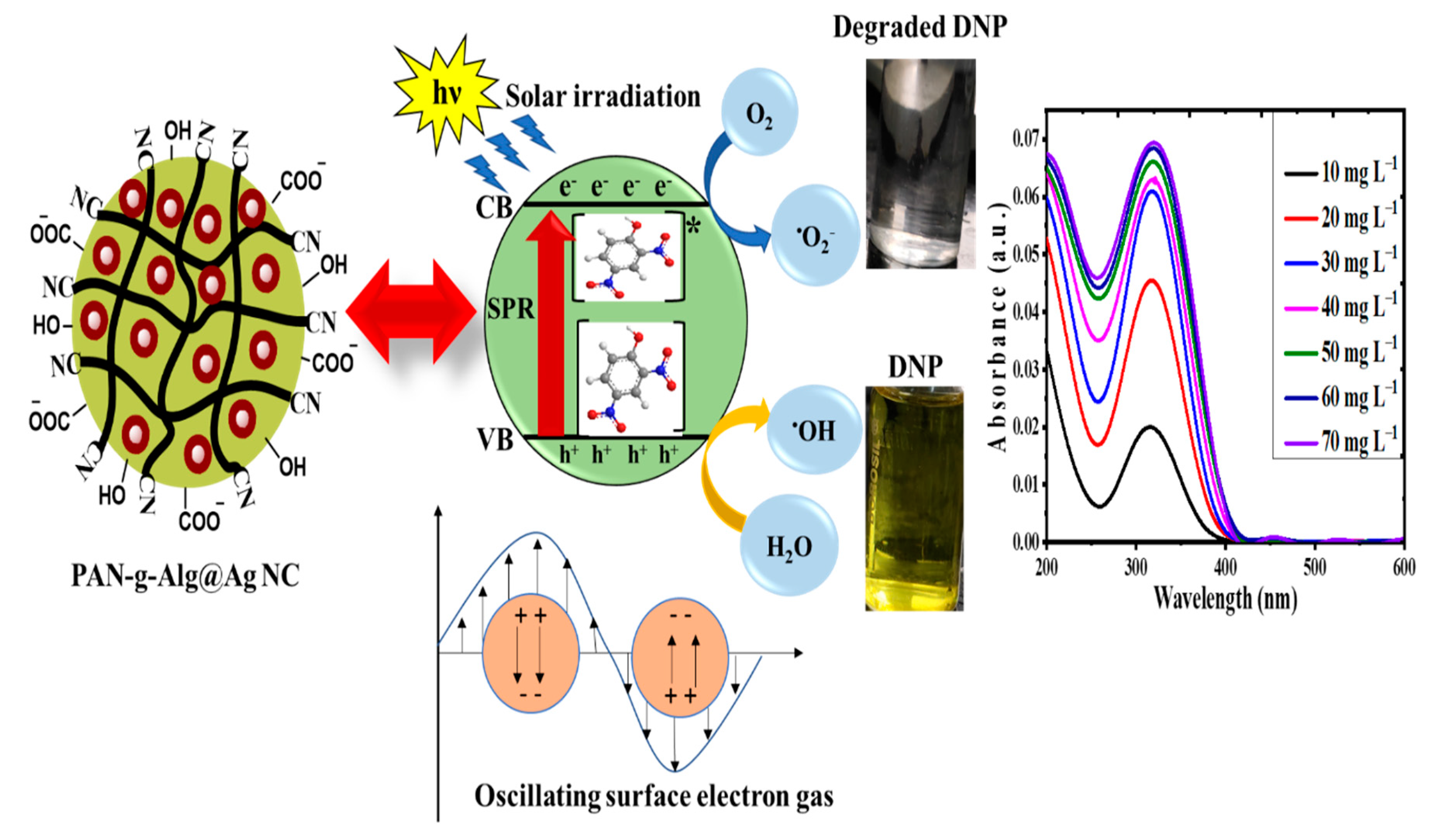 Polymers 12 03049 g011