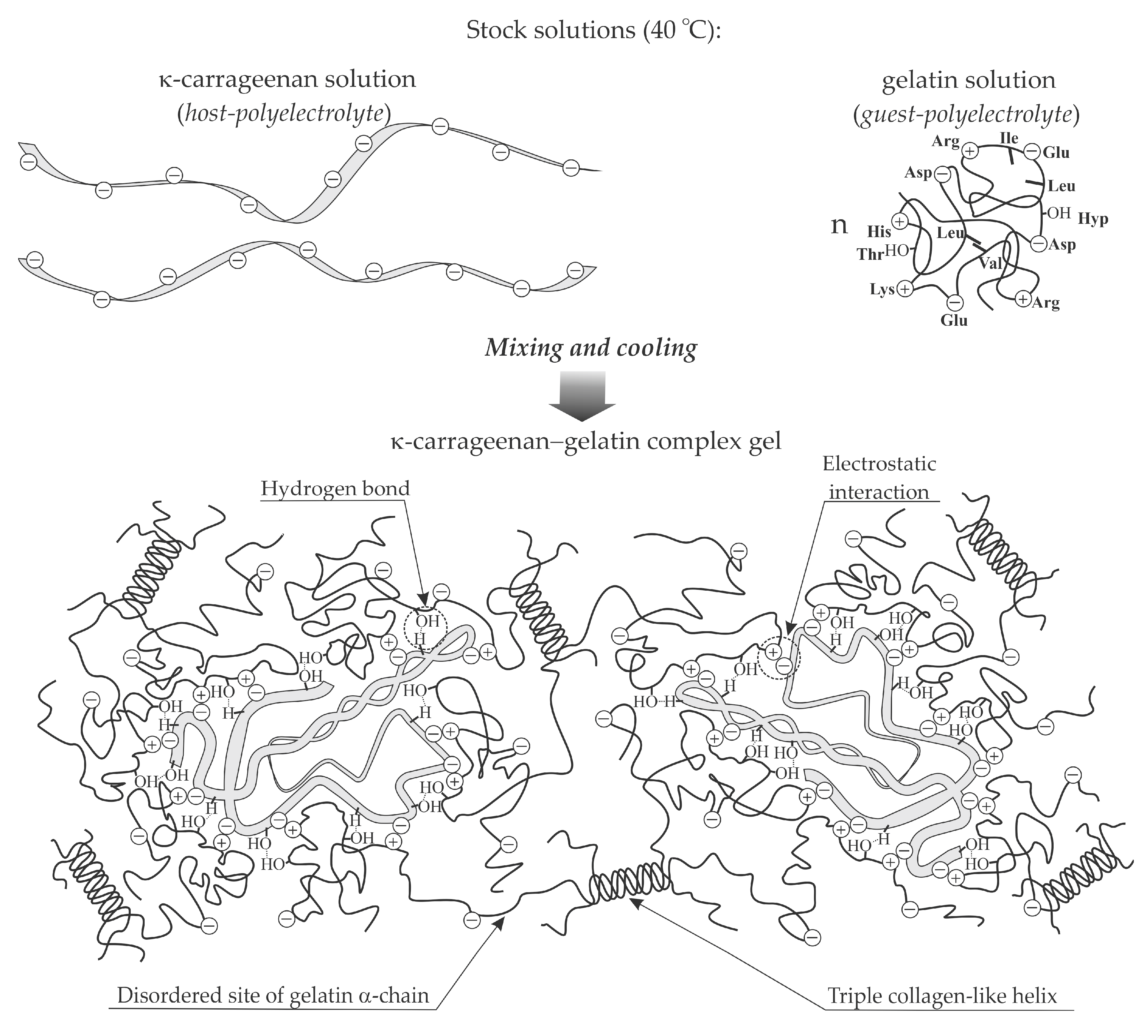 Polymers Free FullText Modified Fish Gelatin as an Alternative to