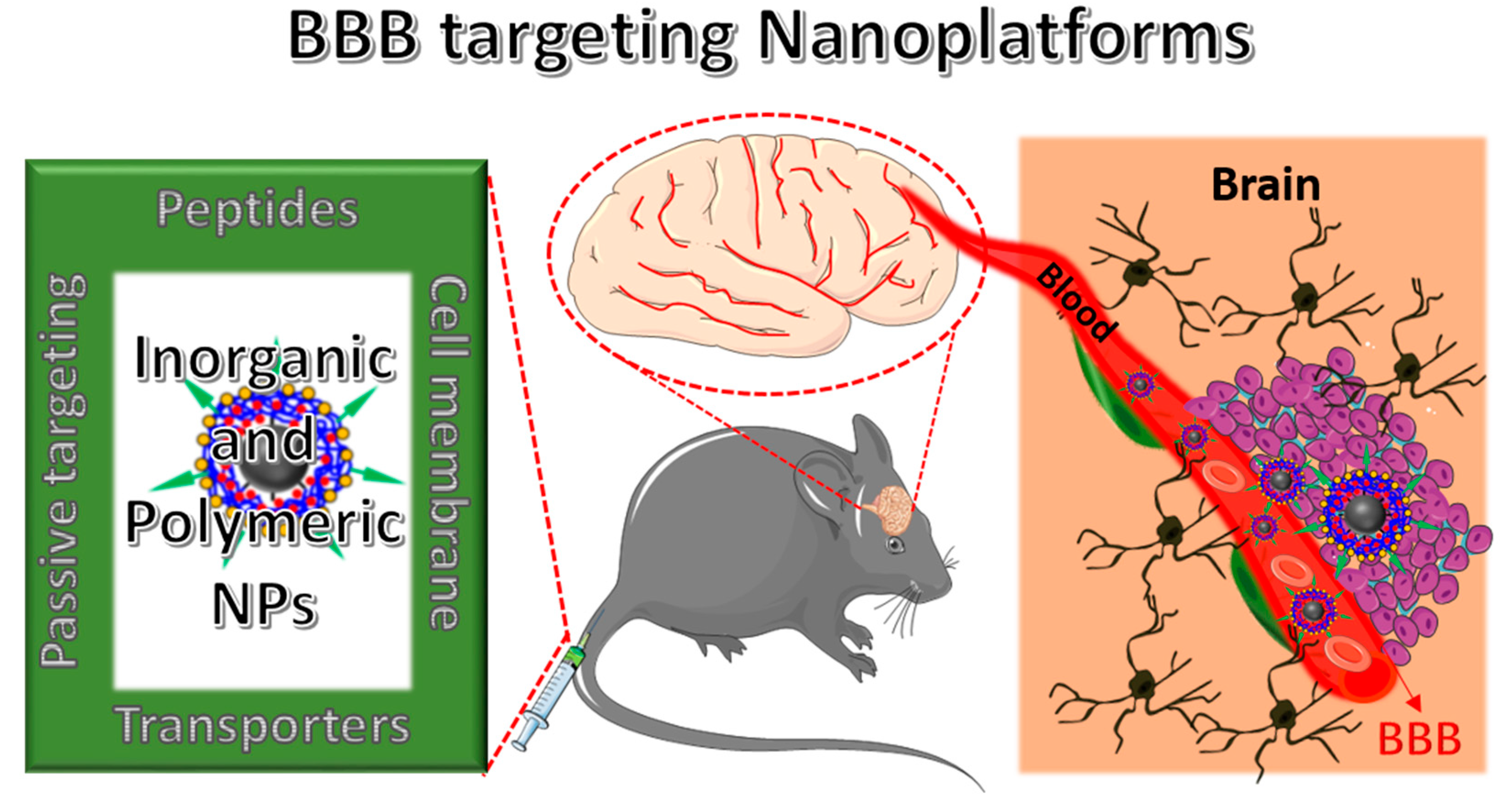 Polymers 12 03055 g002