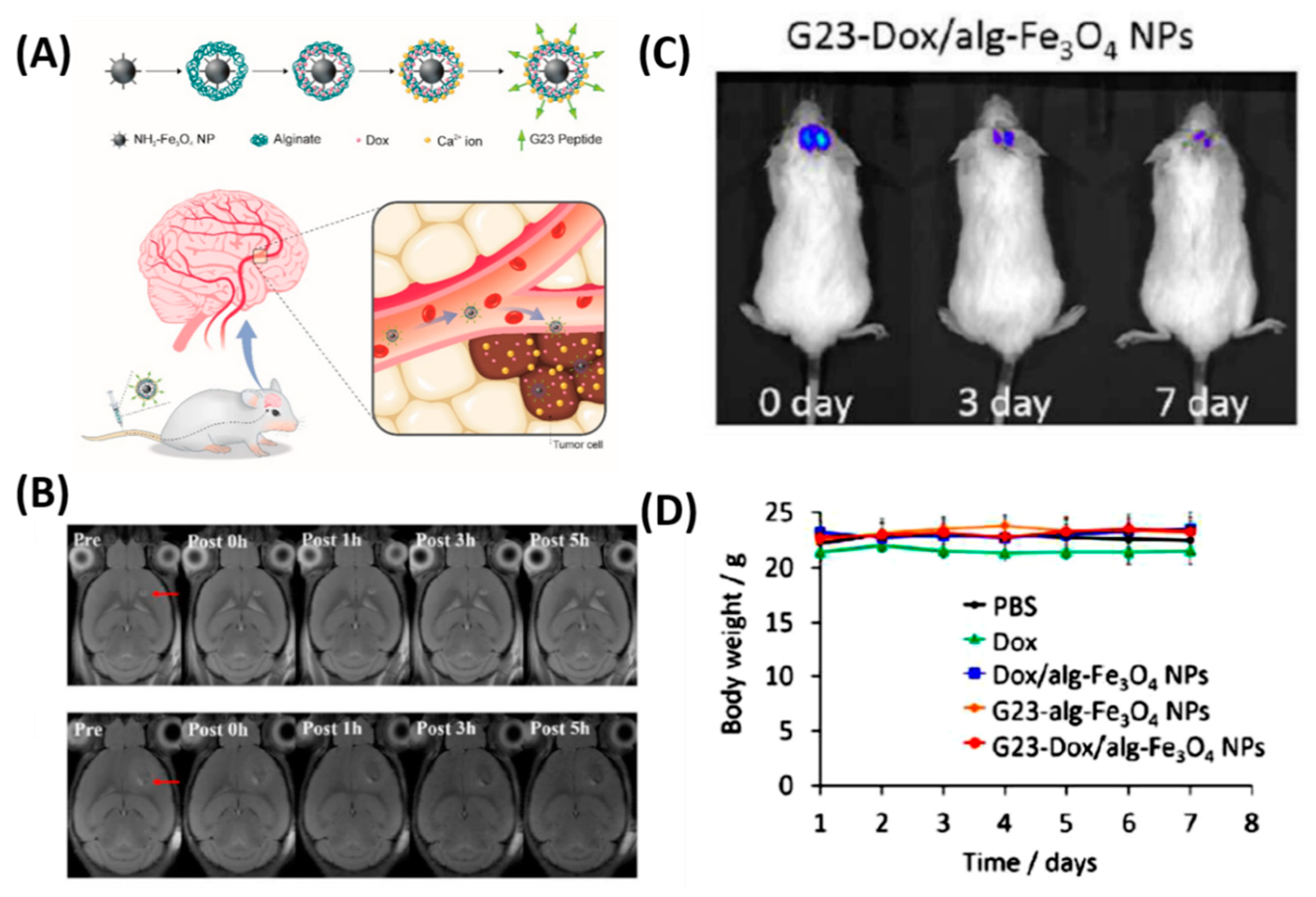 Polymers 12 03055 g003