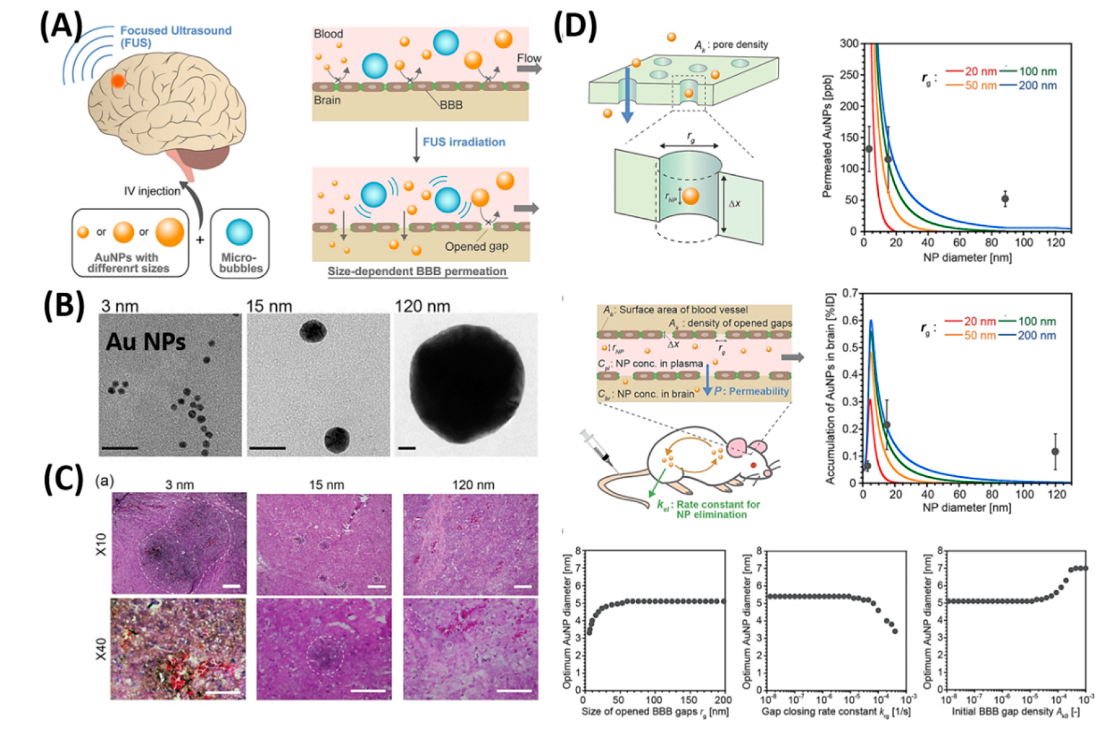 Polymers 12 03055 g005