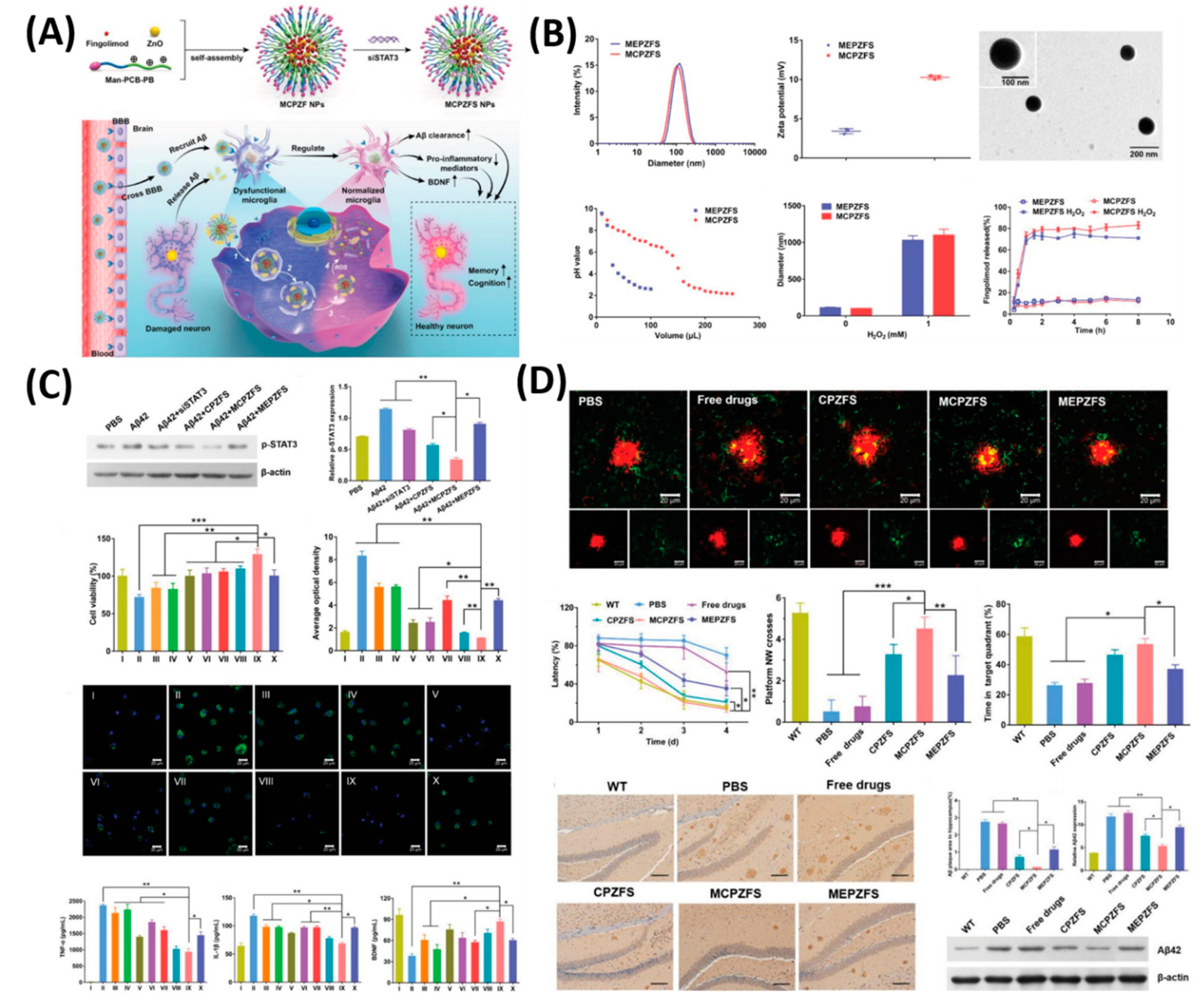 Polymers 12 03055 g006