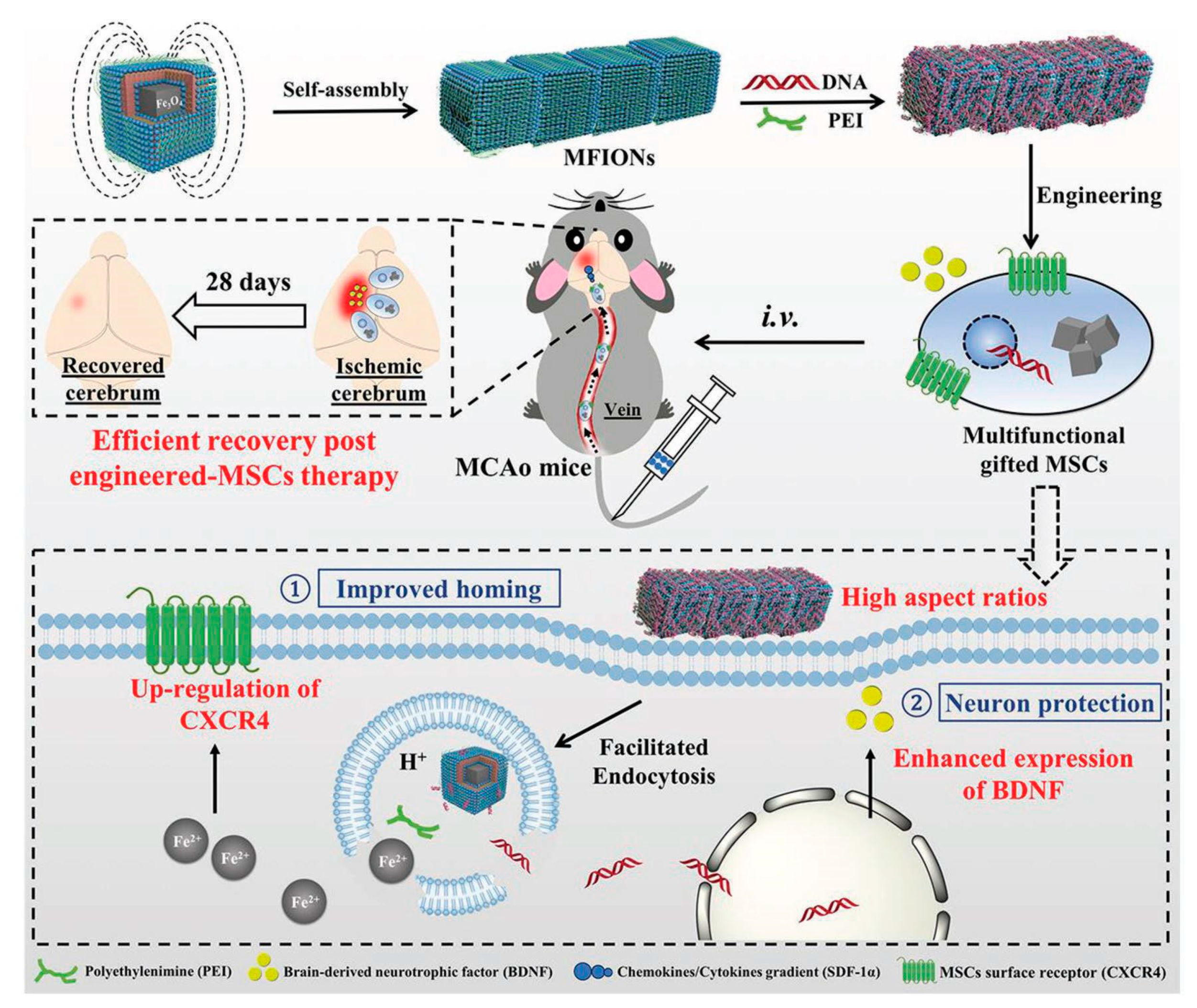 Polymers 12 03055 g008