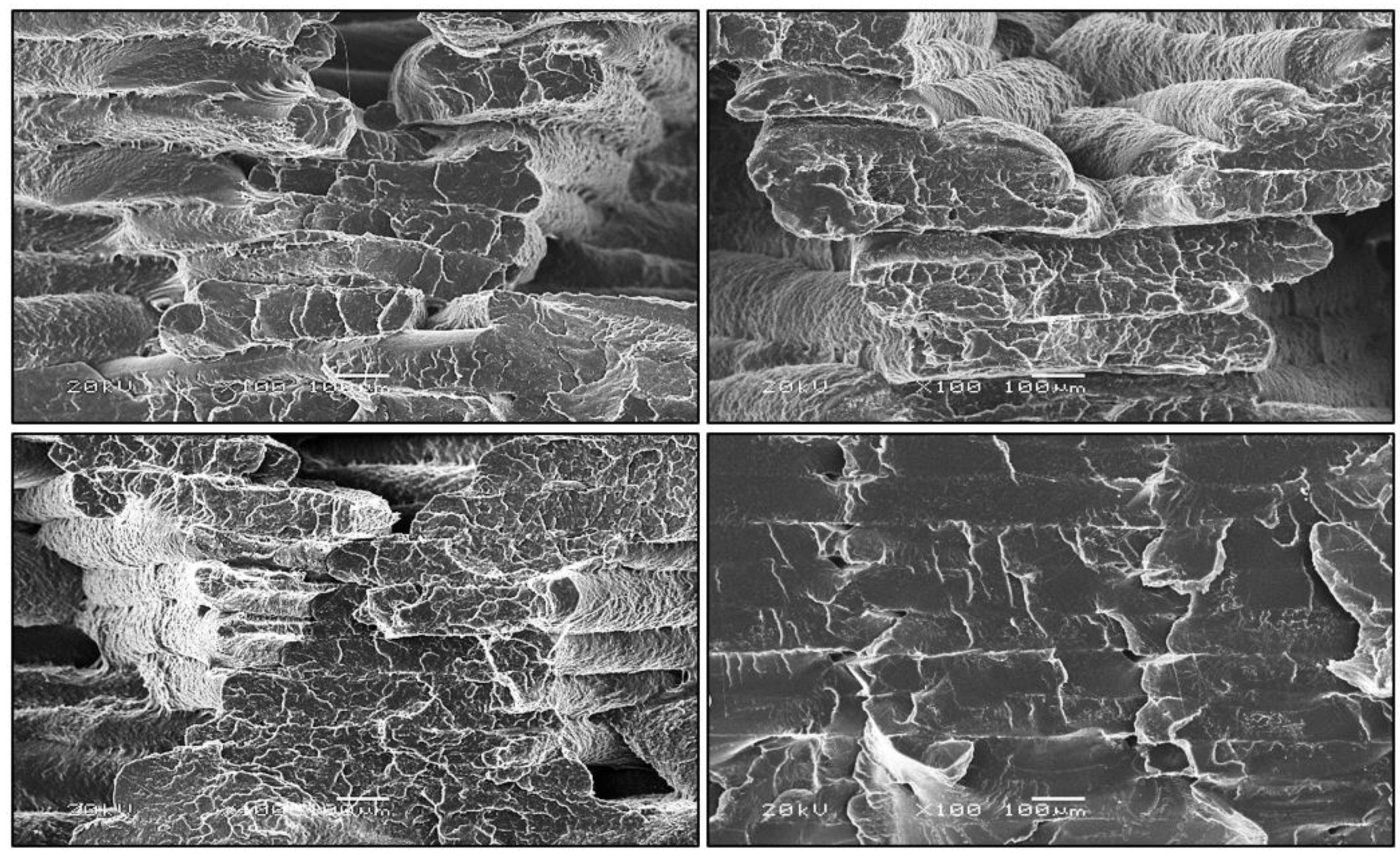 Polymers 12 03056 g010