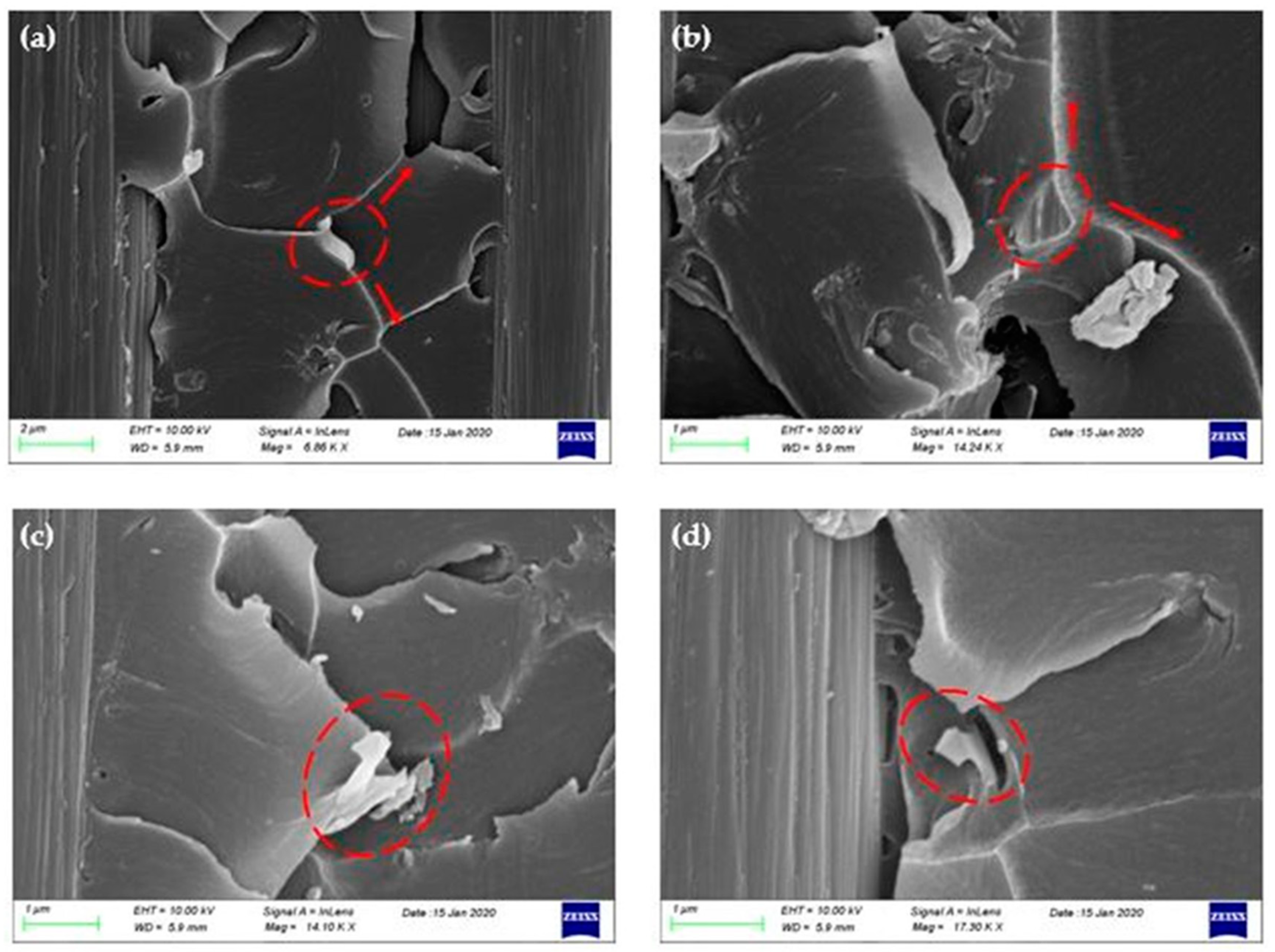 Polymers 12 03060 g009 Polymers 12 03060 g009