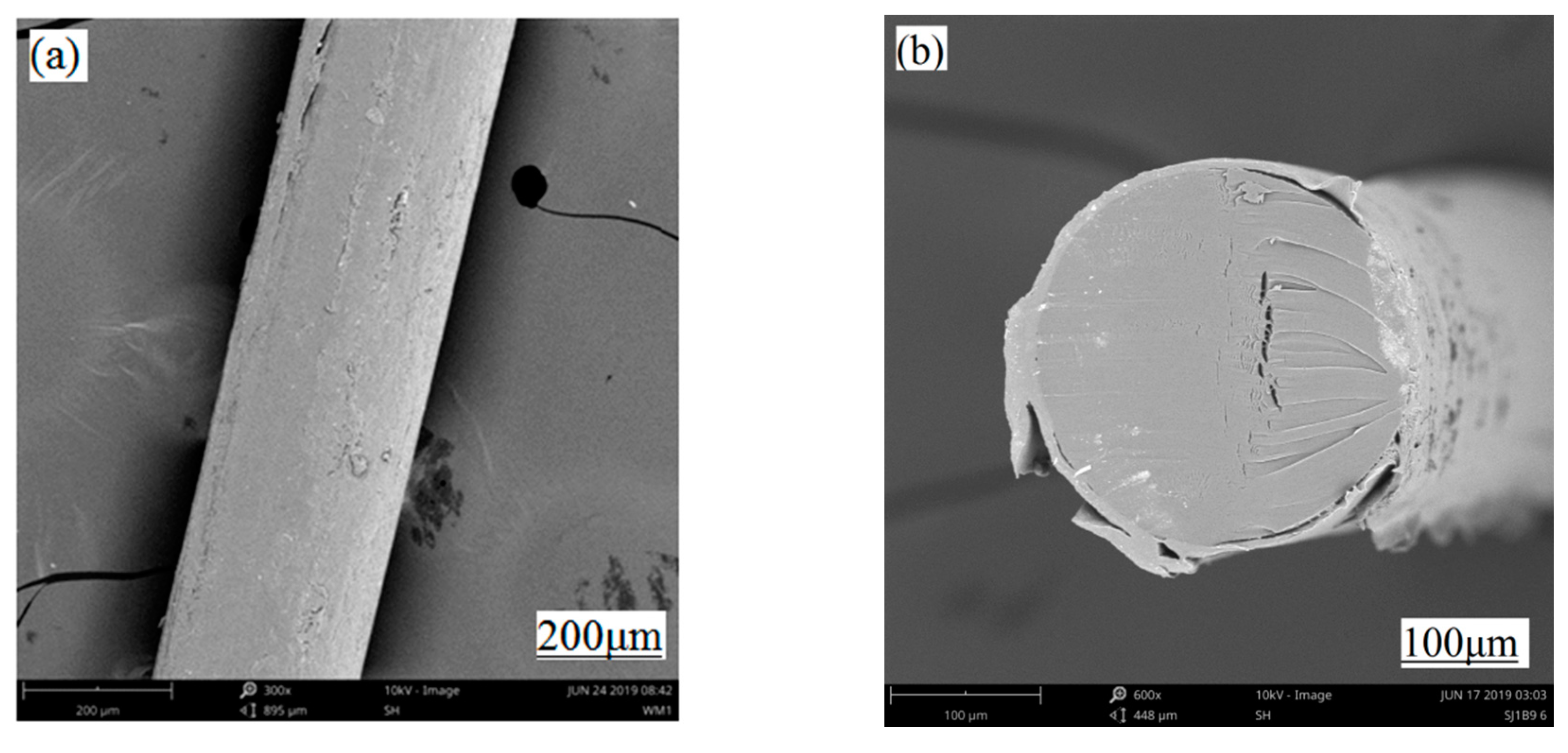 Polymers 12 03062 g009