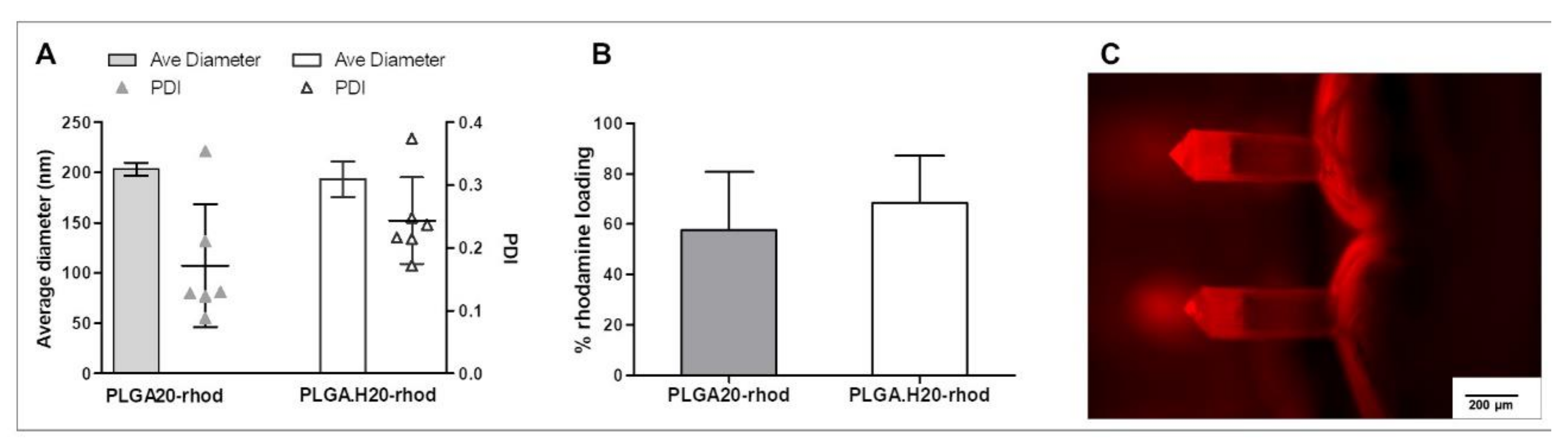 Polymers 12 03063 g003