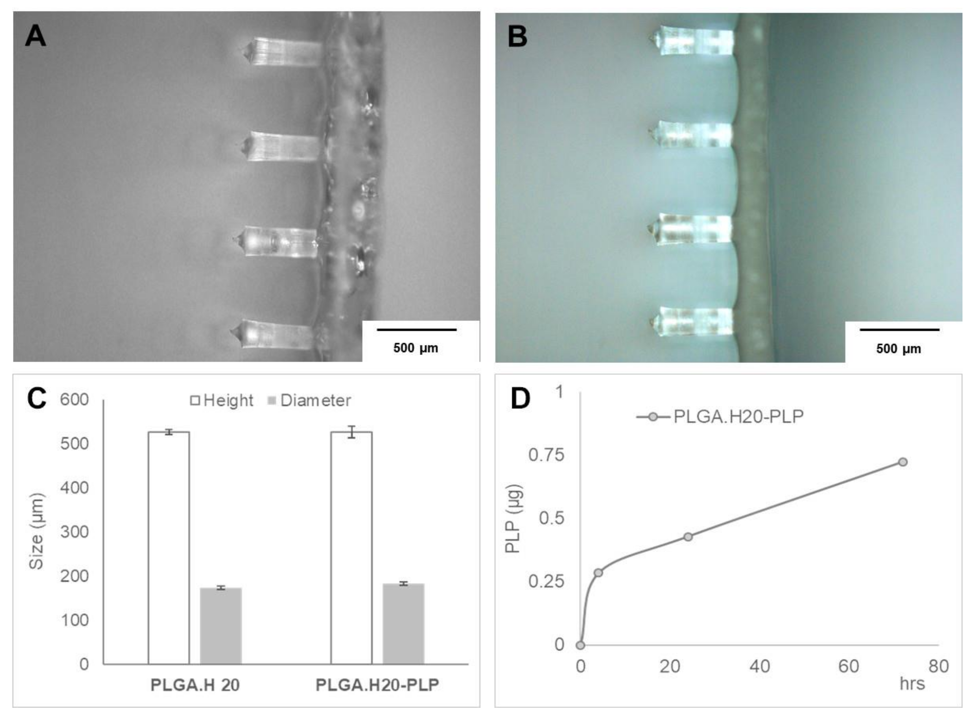 Polymers 12 03063 g005