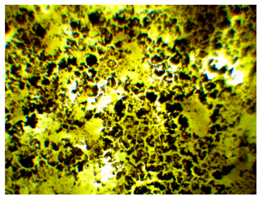 Polymers 13 00007 i007 Polymers 13 00007 i007