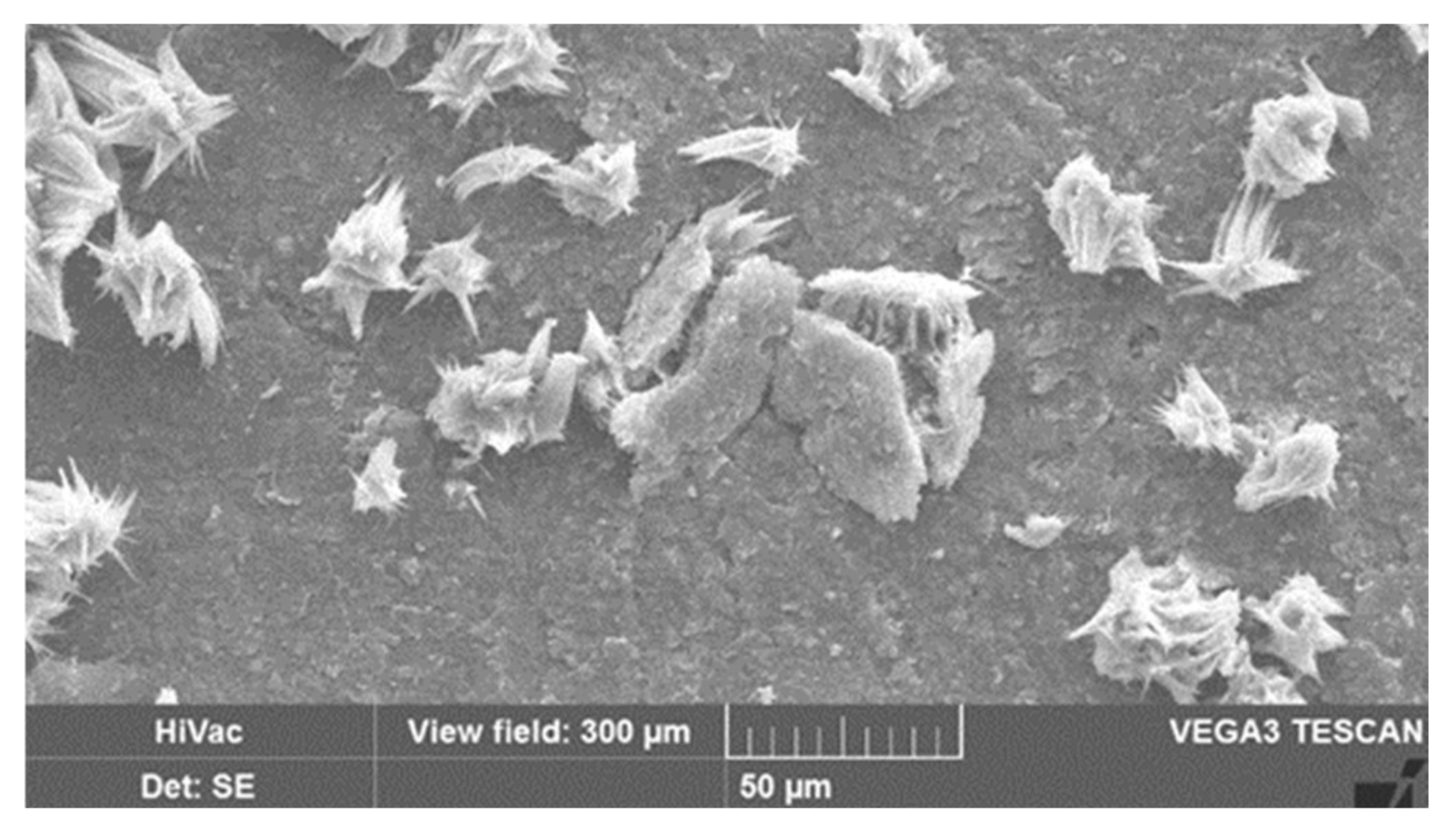 Polymers 13 00010 g008 Polymers 13 00010 g008