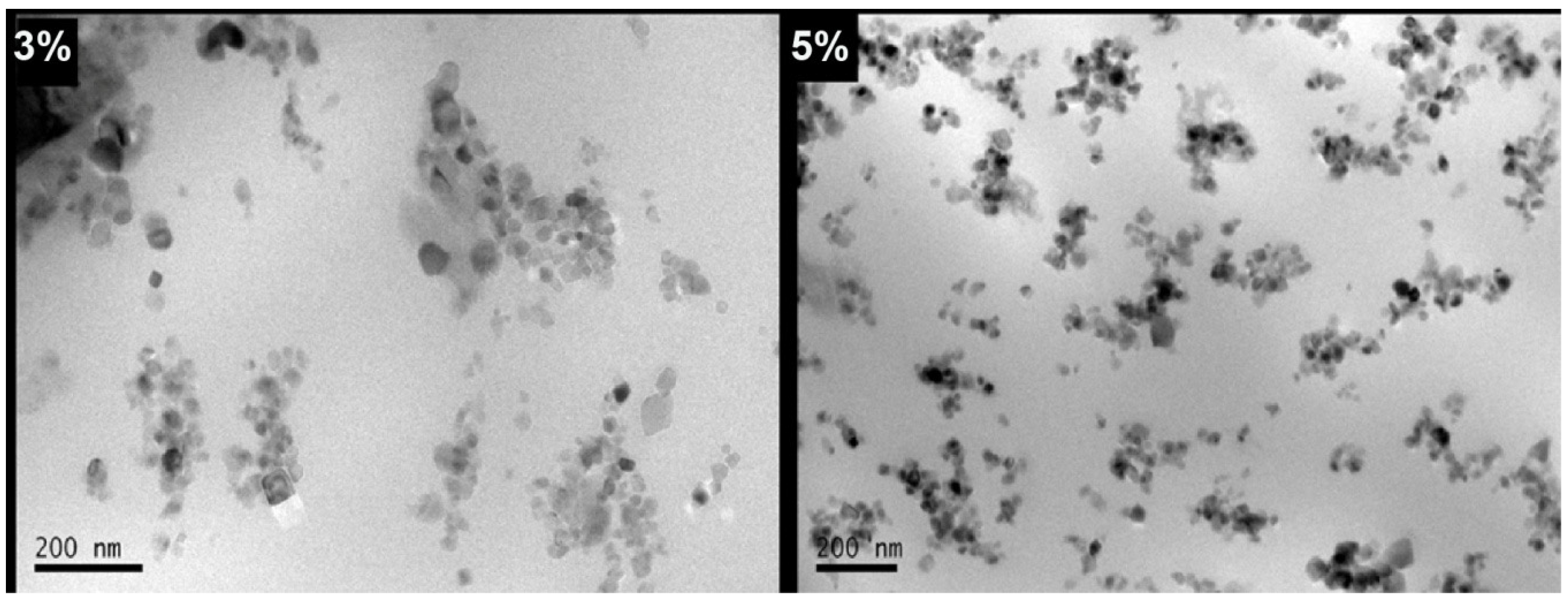 Polymers 13 00014 g006