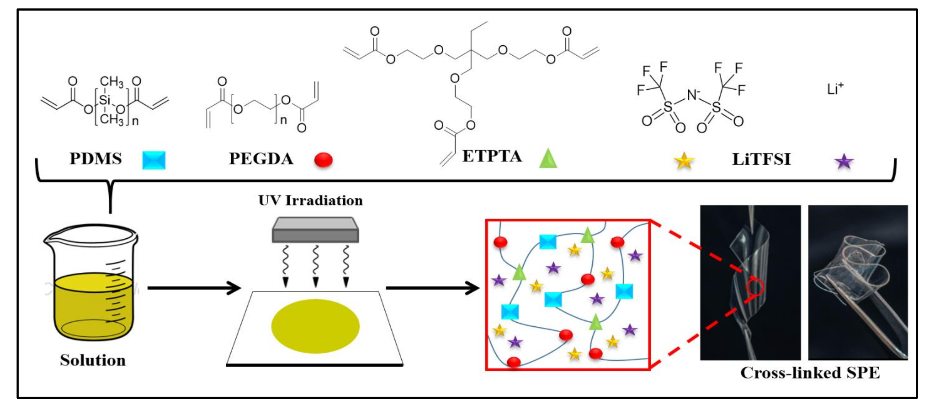 Polymers 13 00015 g002