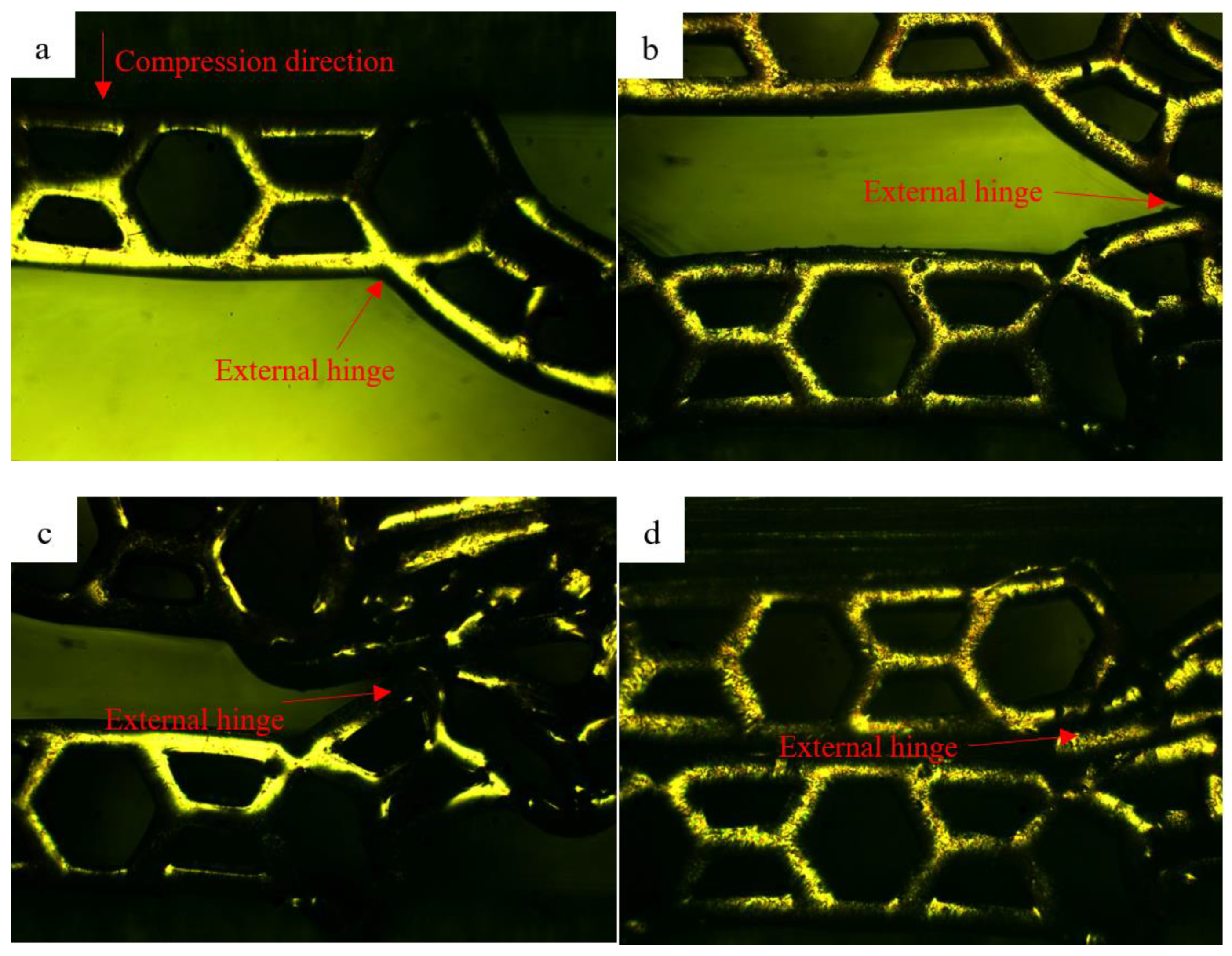 Polymers 13 00019 g008