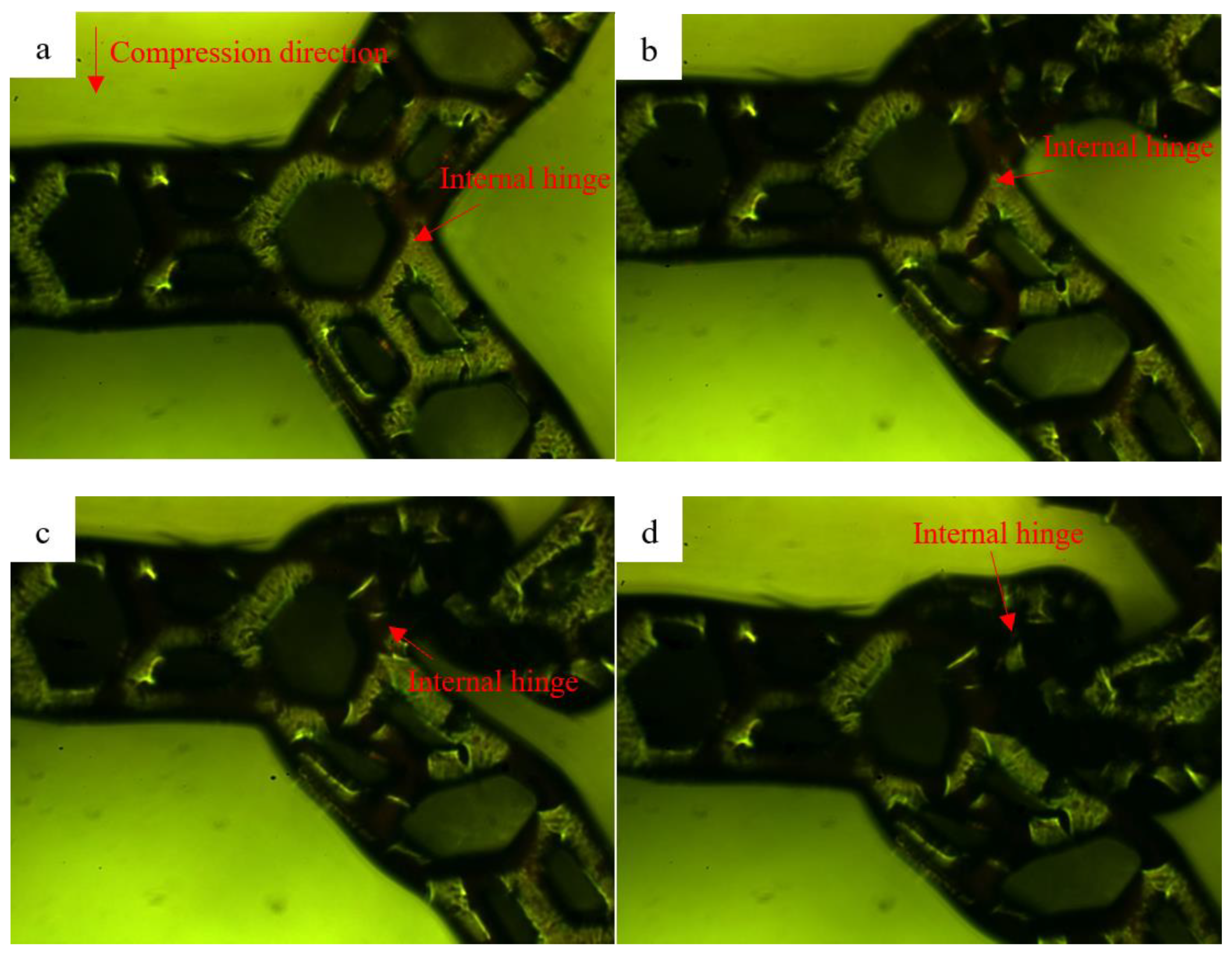 Polymers 13 00019 g009