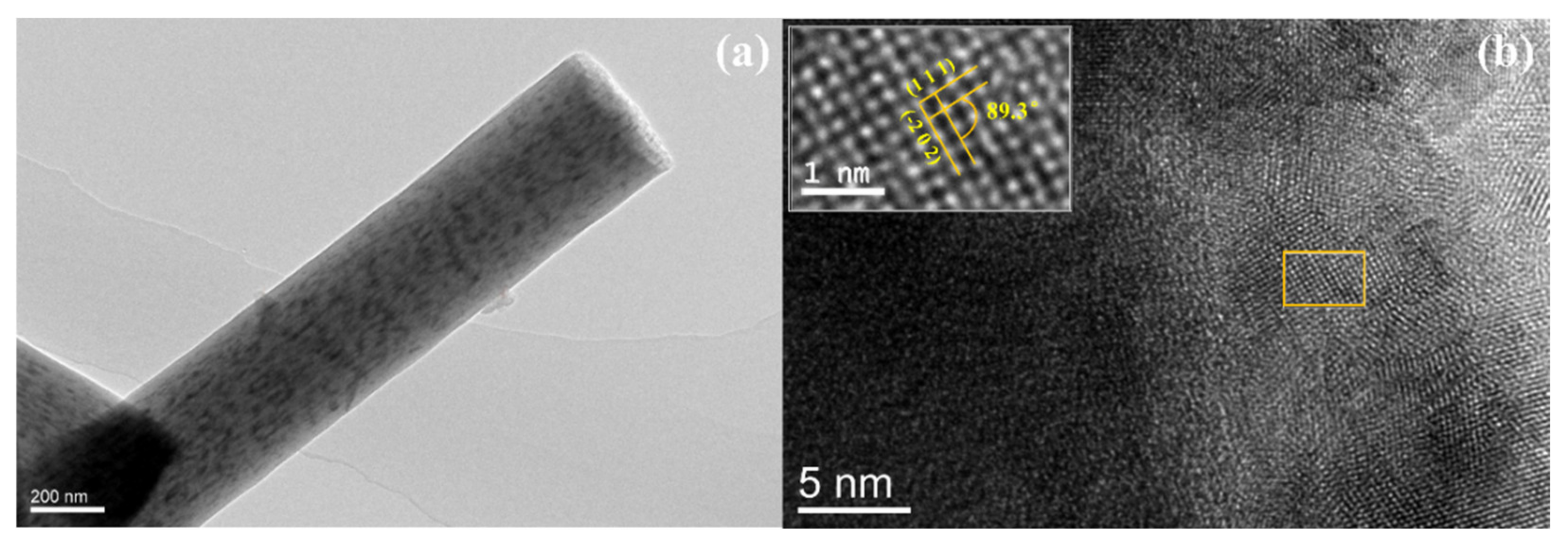 Polymers 13 00022 g004 Polymers 13 00022 g004
