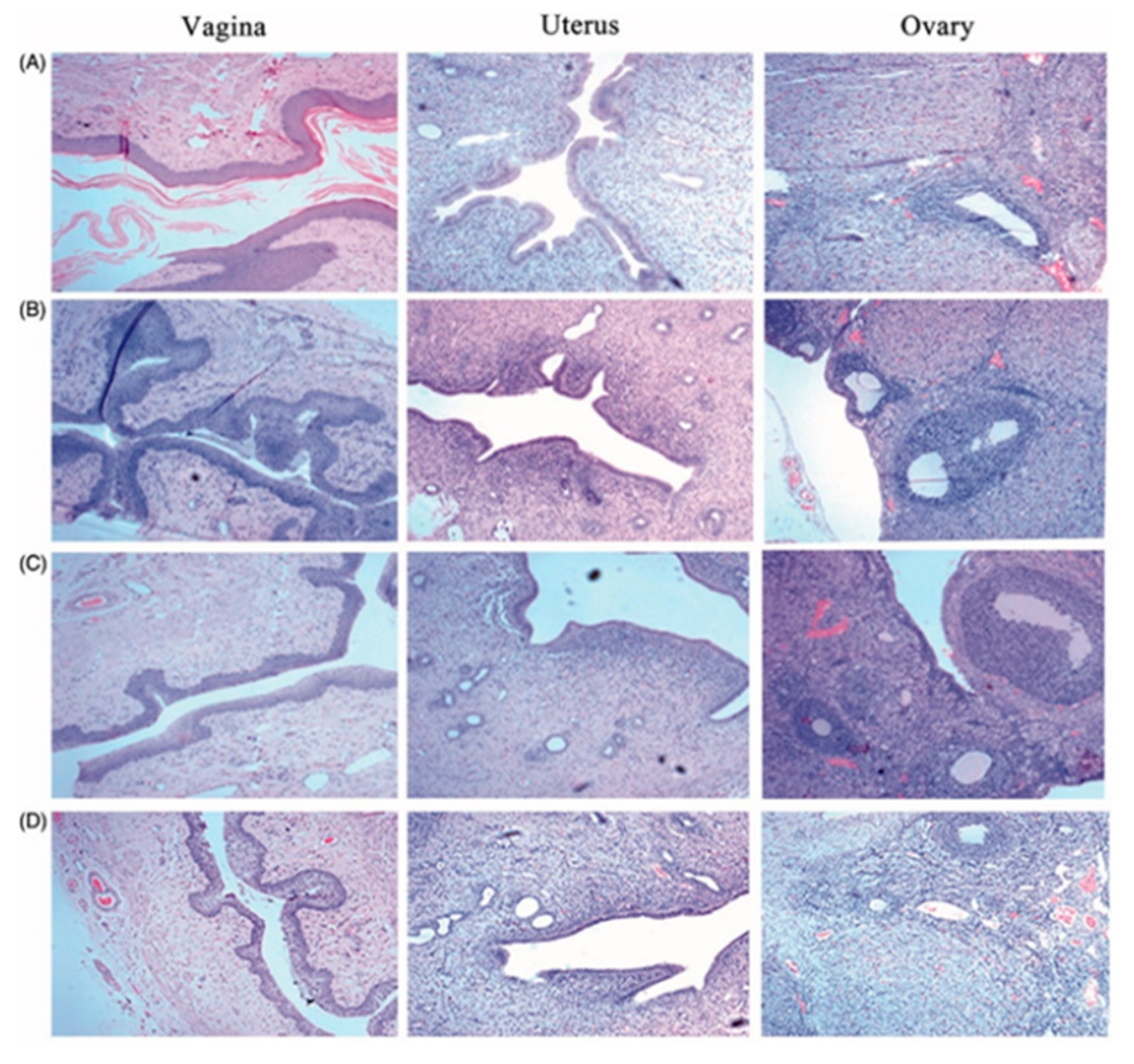 Polymers 13 00026 g006