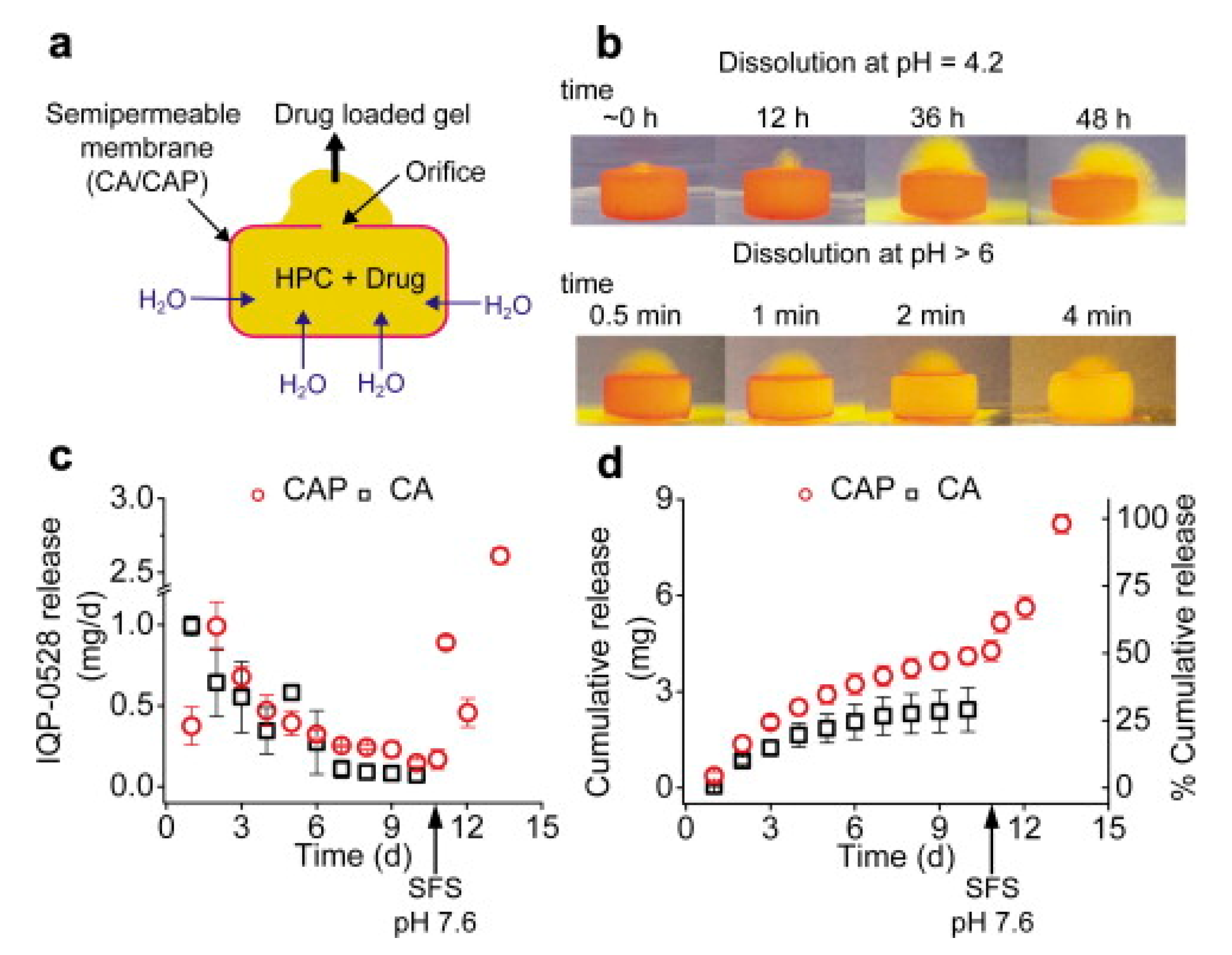 Polymers 13 00026 g011