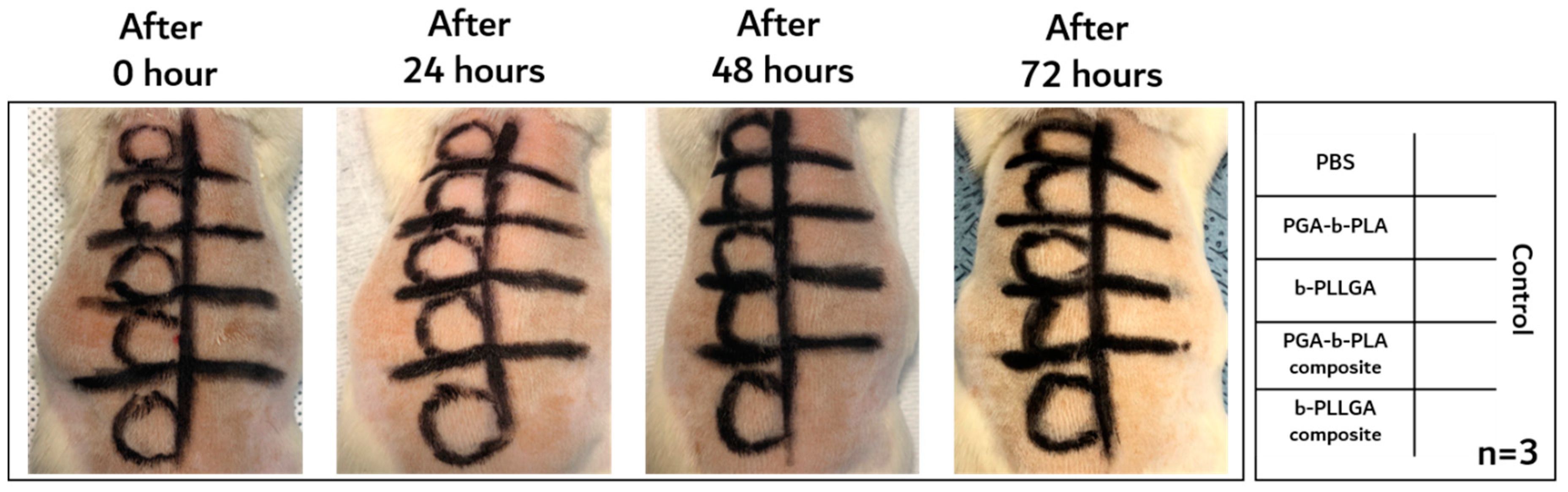 Polymers 13 00029 g006 Polymers 13 00029 g006