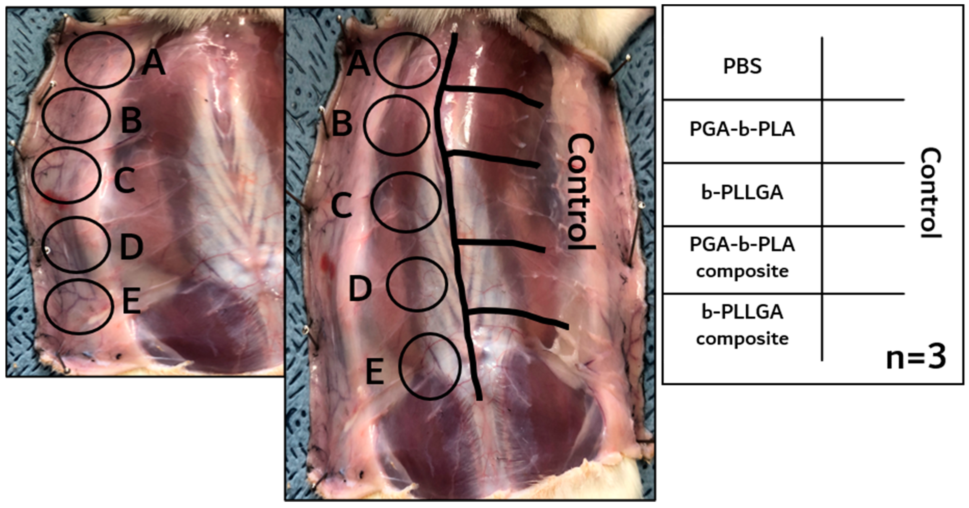 Polymers 13 00029 g007 Polymers 13 00029 g007