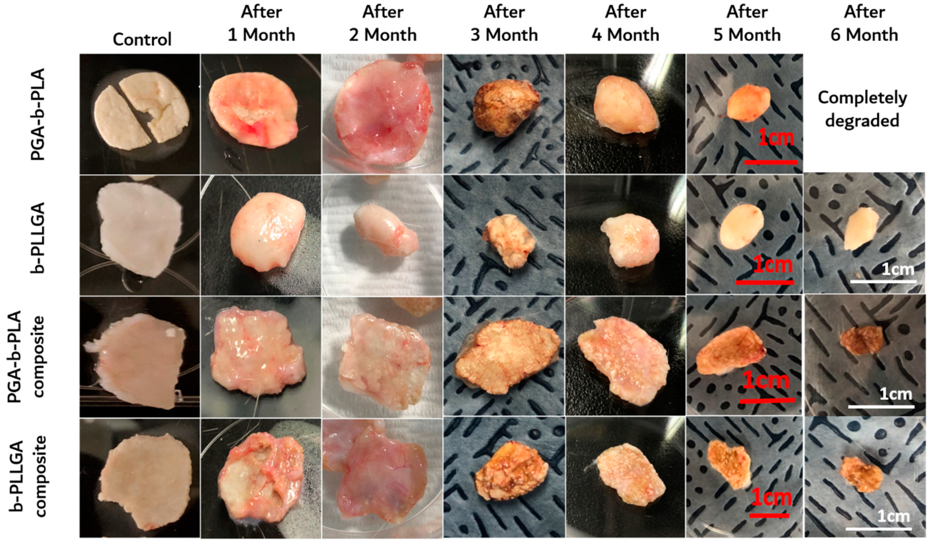 Polymers 13 00029 g009 Polymers 13 00029 g009