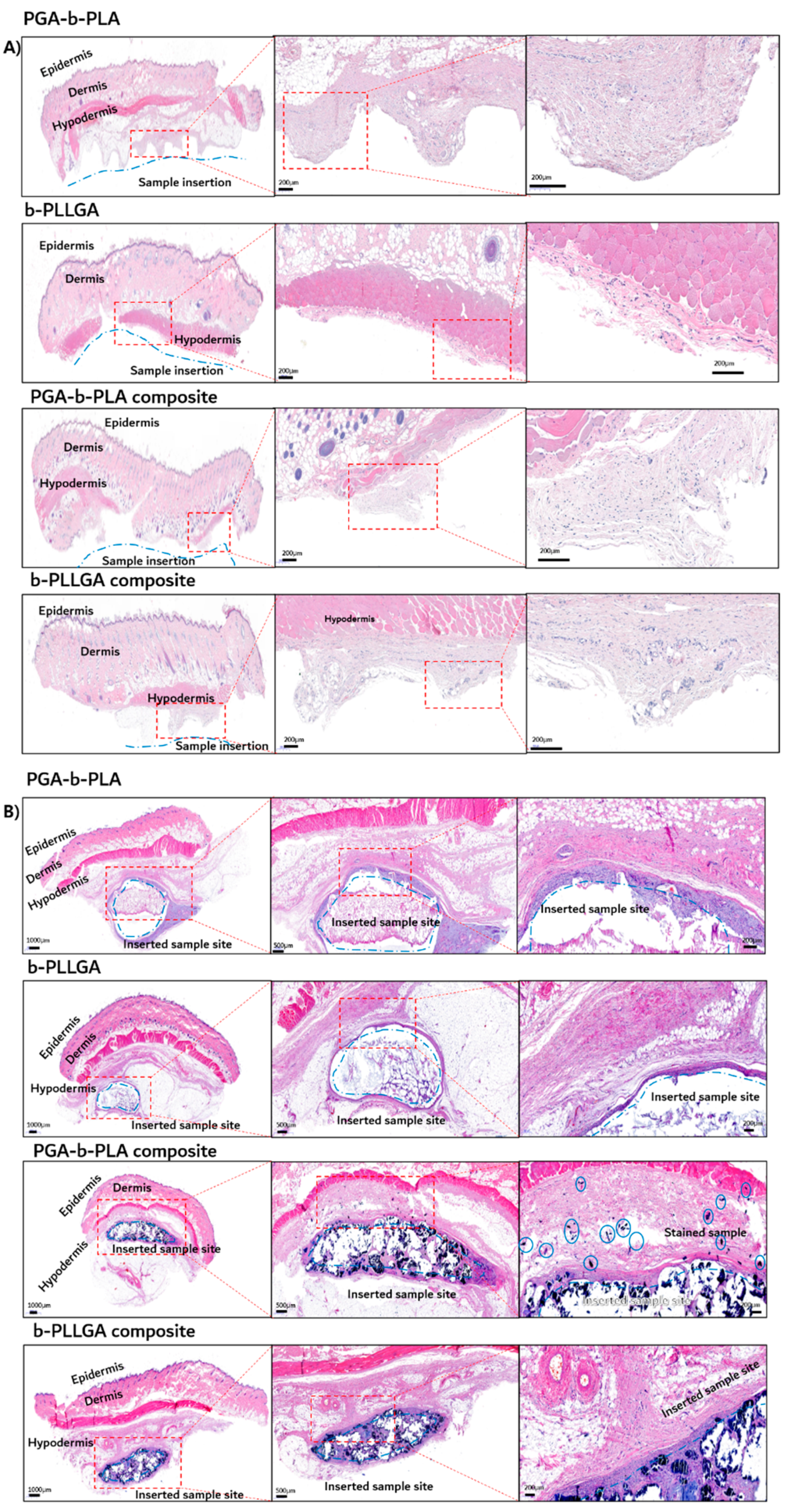 Polymers 13 00029 g010 Polymers 13 00029 g010