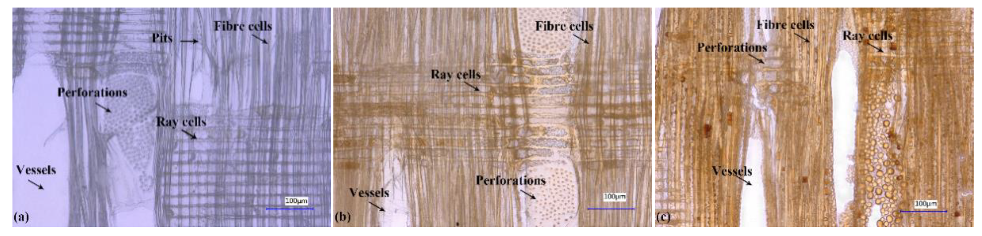 Polymers 13 00032 g001 Polymers 13 00032 g001