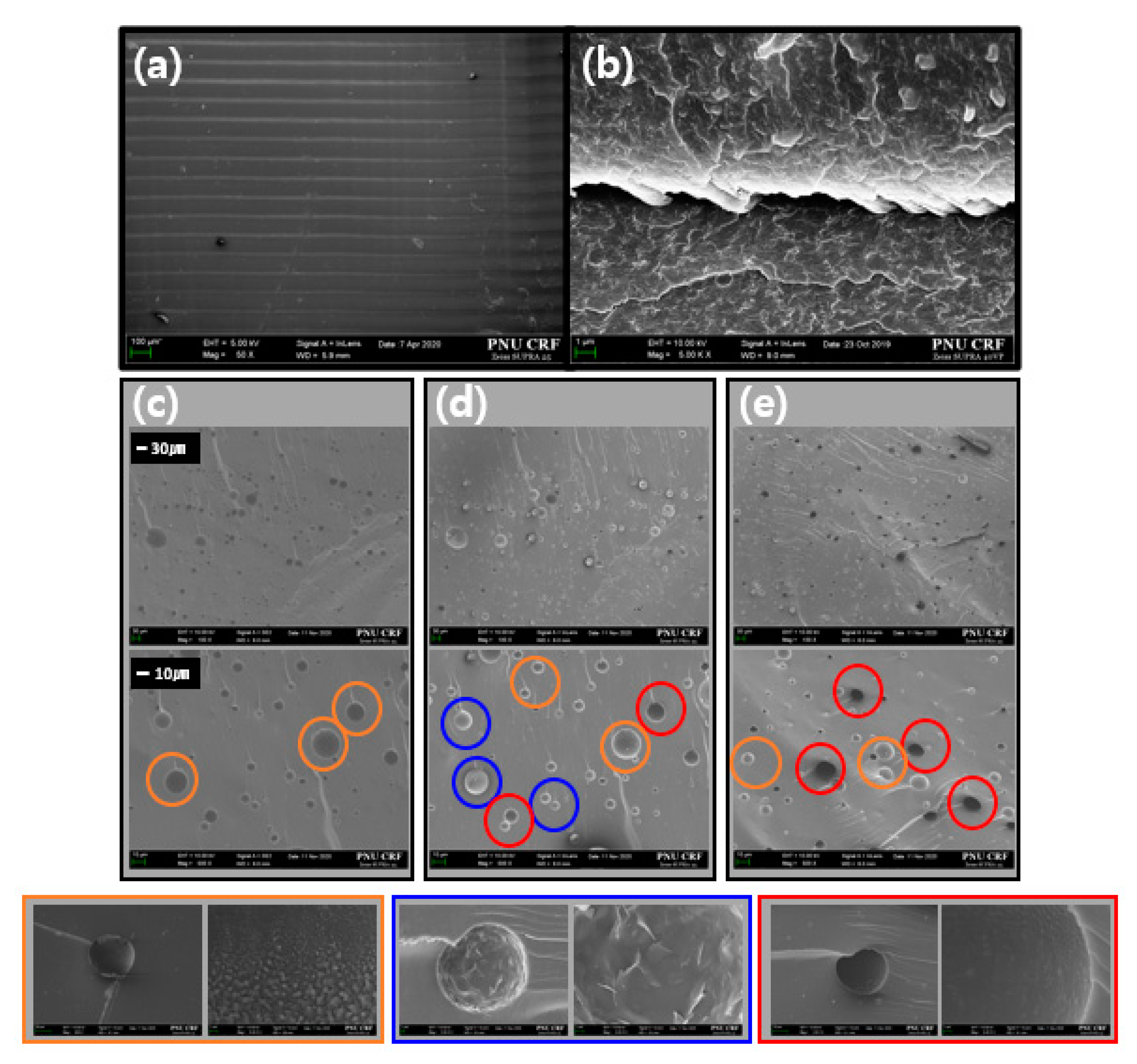 Polymers 13 00044 g006